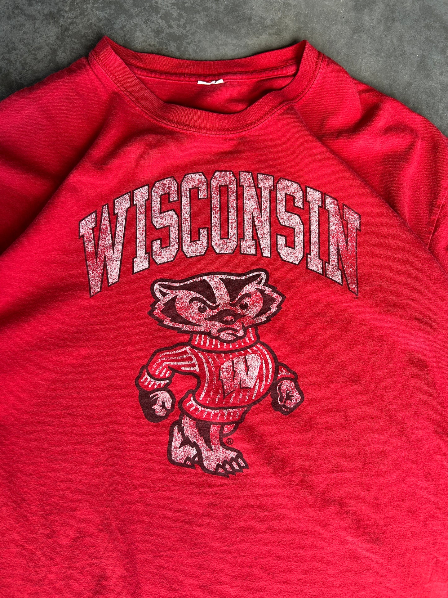 Vintage Wisconsin Badgers Collegiate Tee (L)