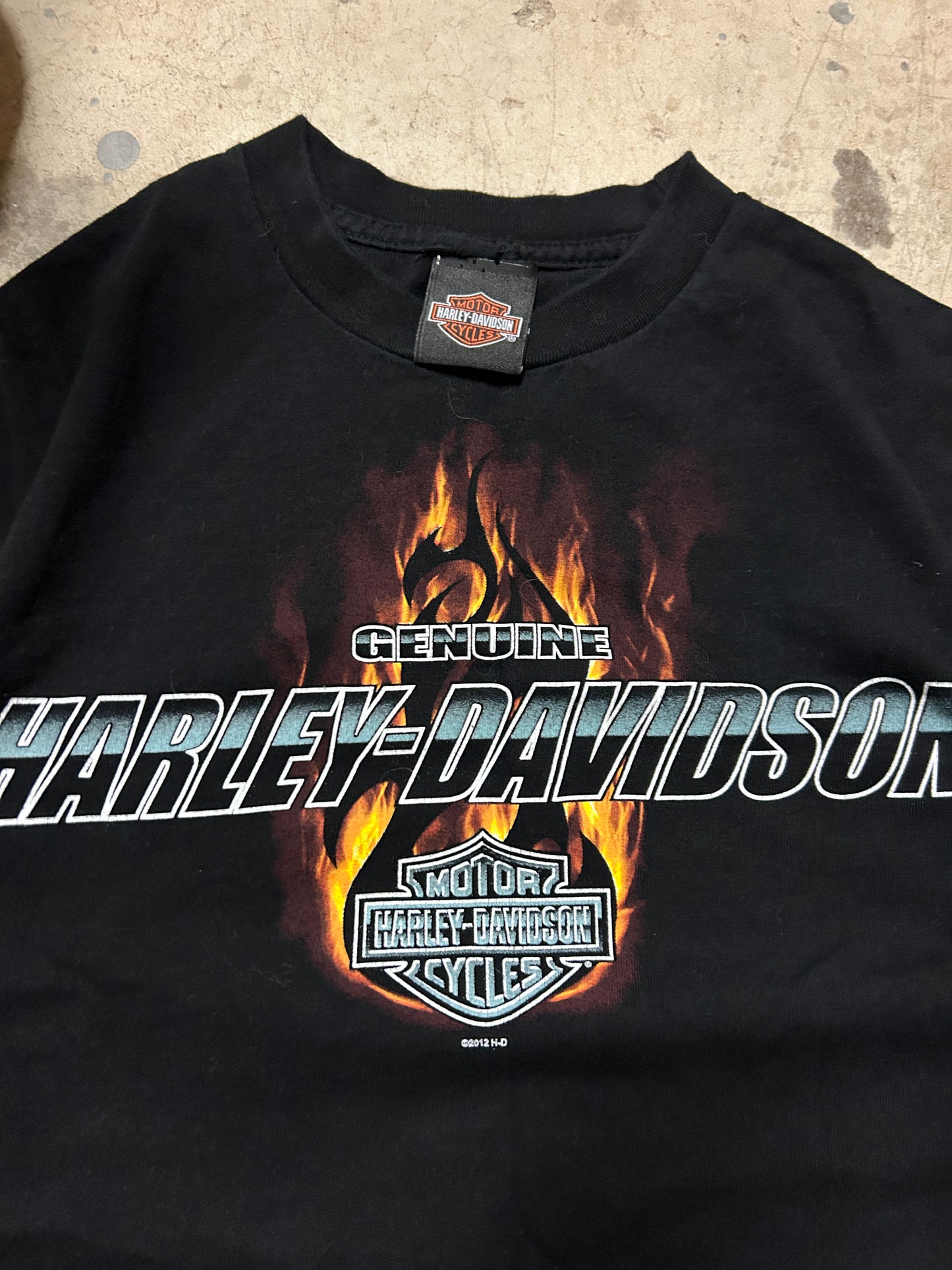 Harley Davidson Flame Spellout Tee (L)