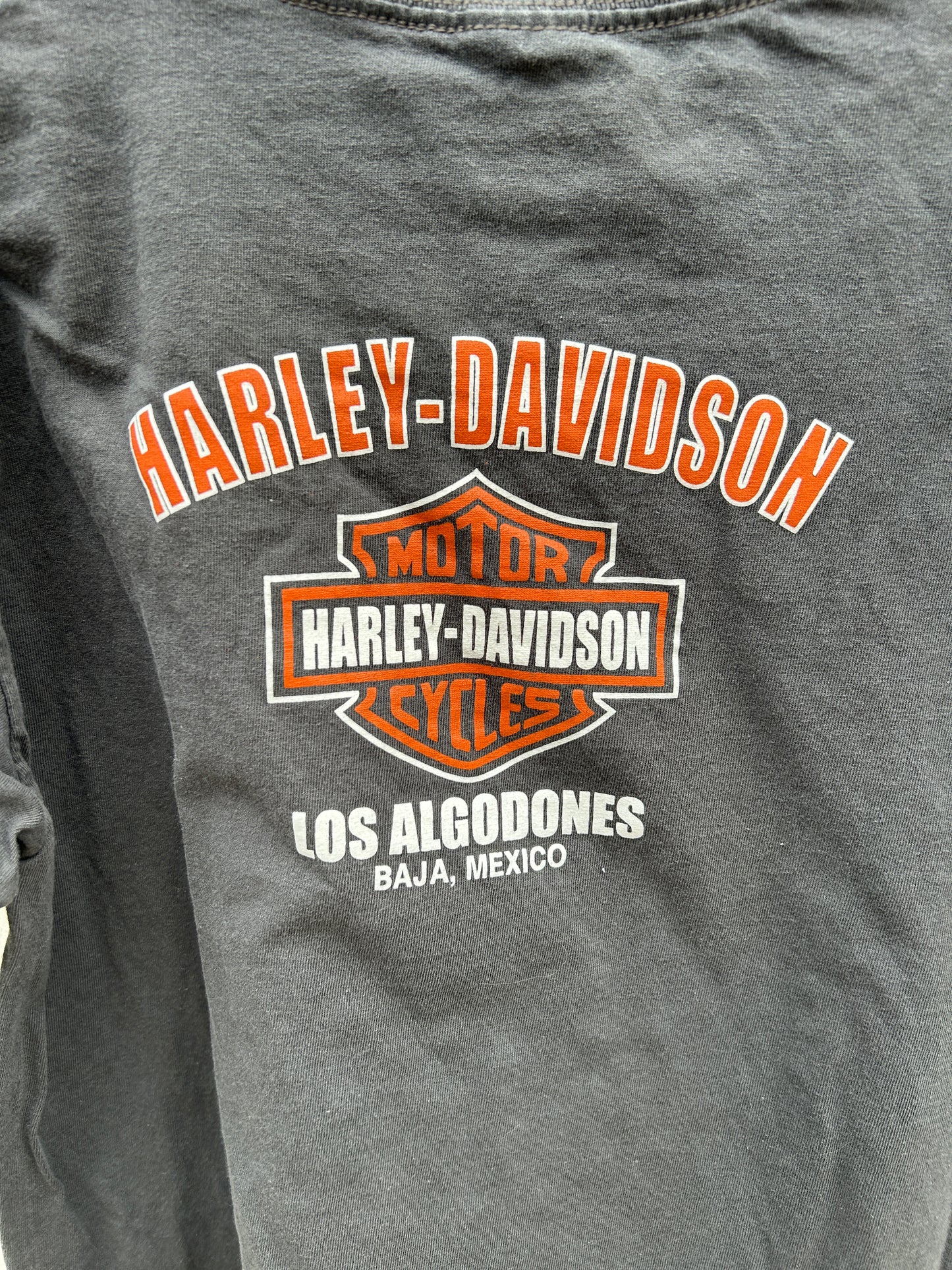 Grey Harley Los Algodones Tee (L)