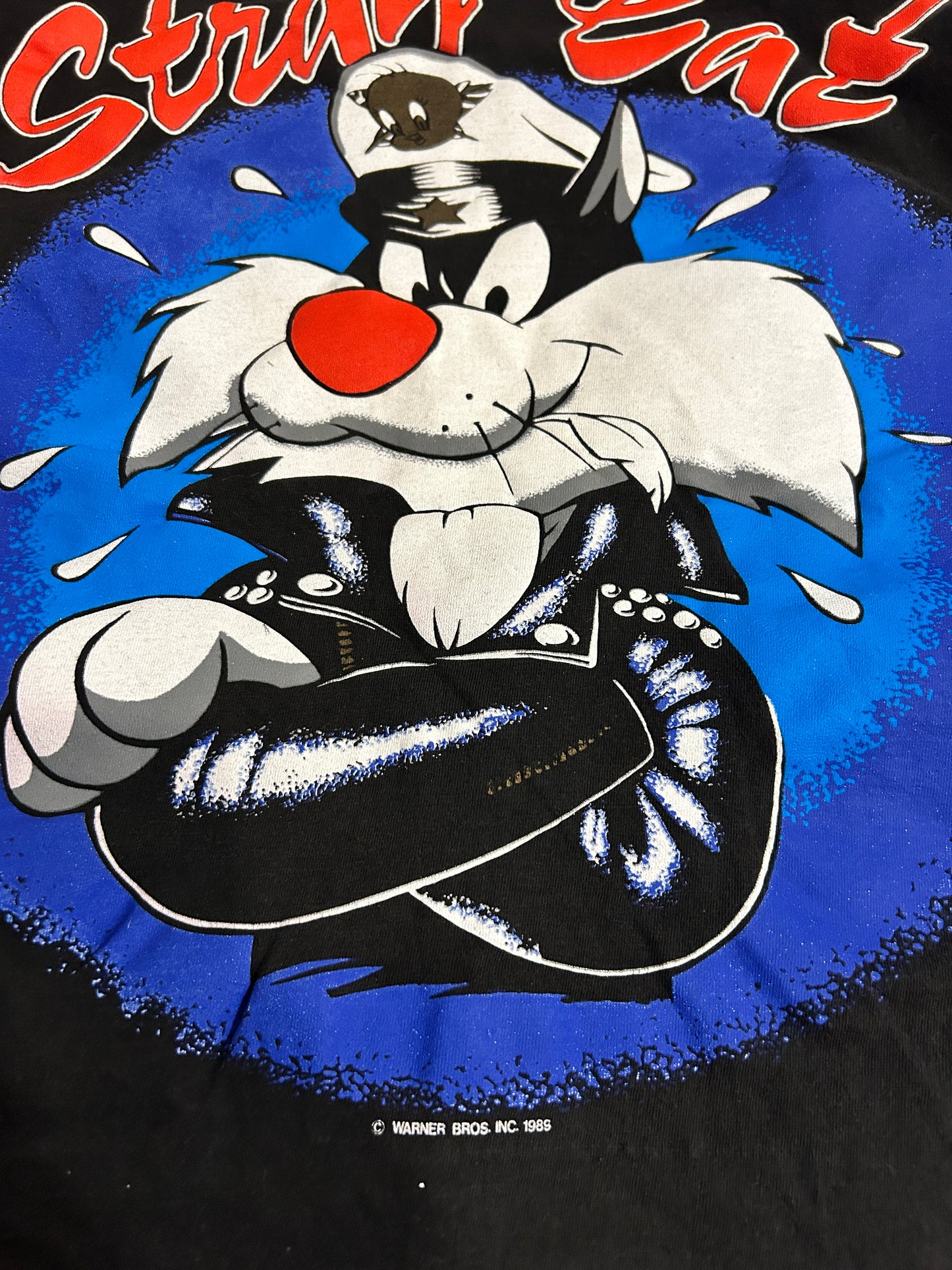 Vintage 1989 Sylvester Stray Cat Tee (M)