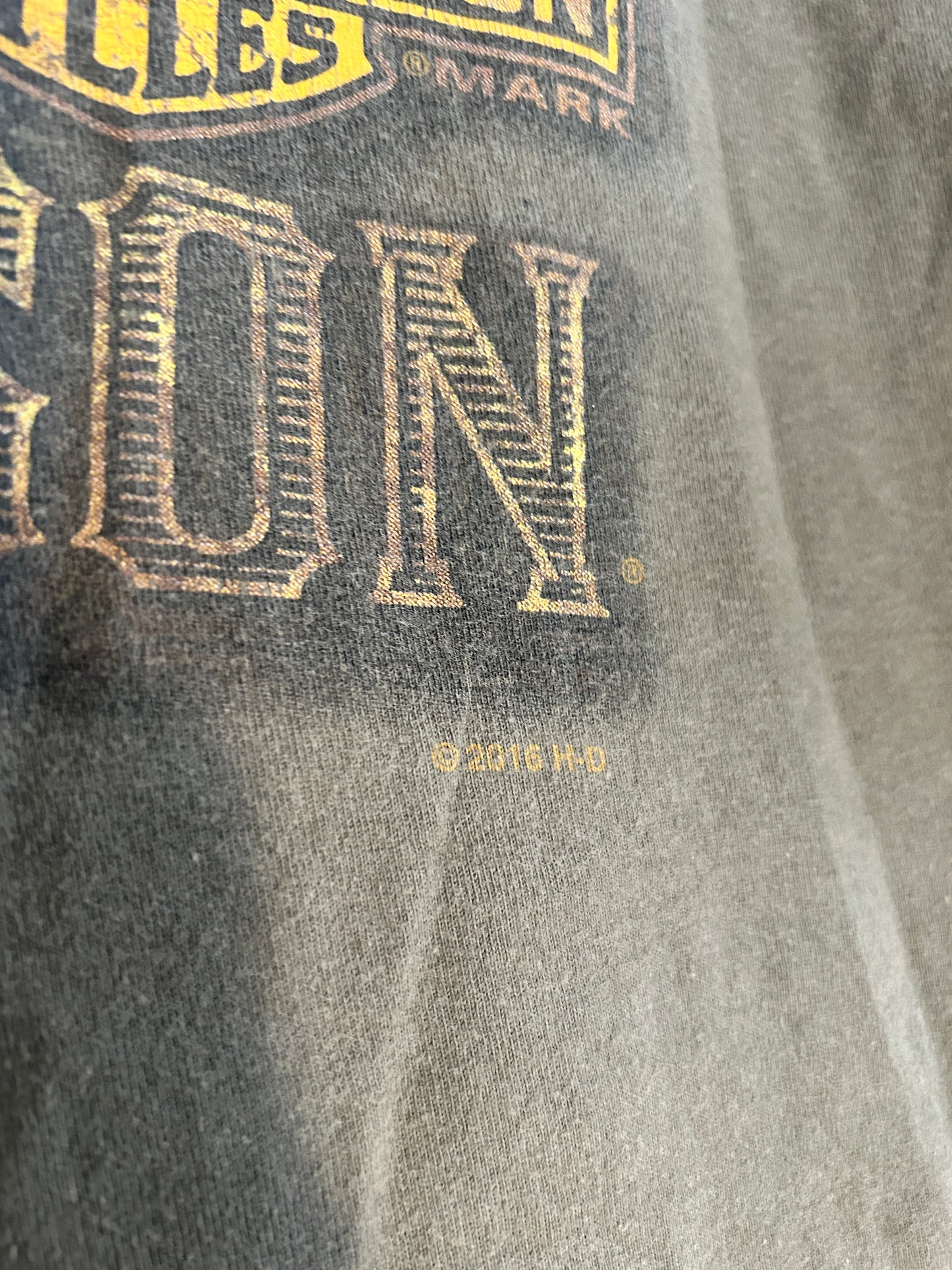 2016 Harley Davidson Tee (M)