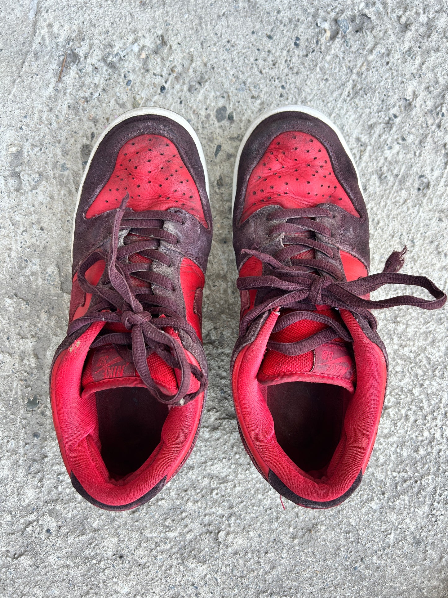 Nike SB Cherry Bomb Fruit Pack Dunks (10.5M)