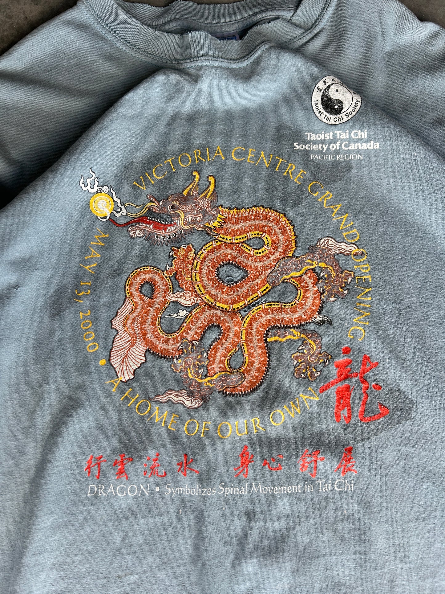Vintage Victoria Centre Dragon Tee (L)