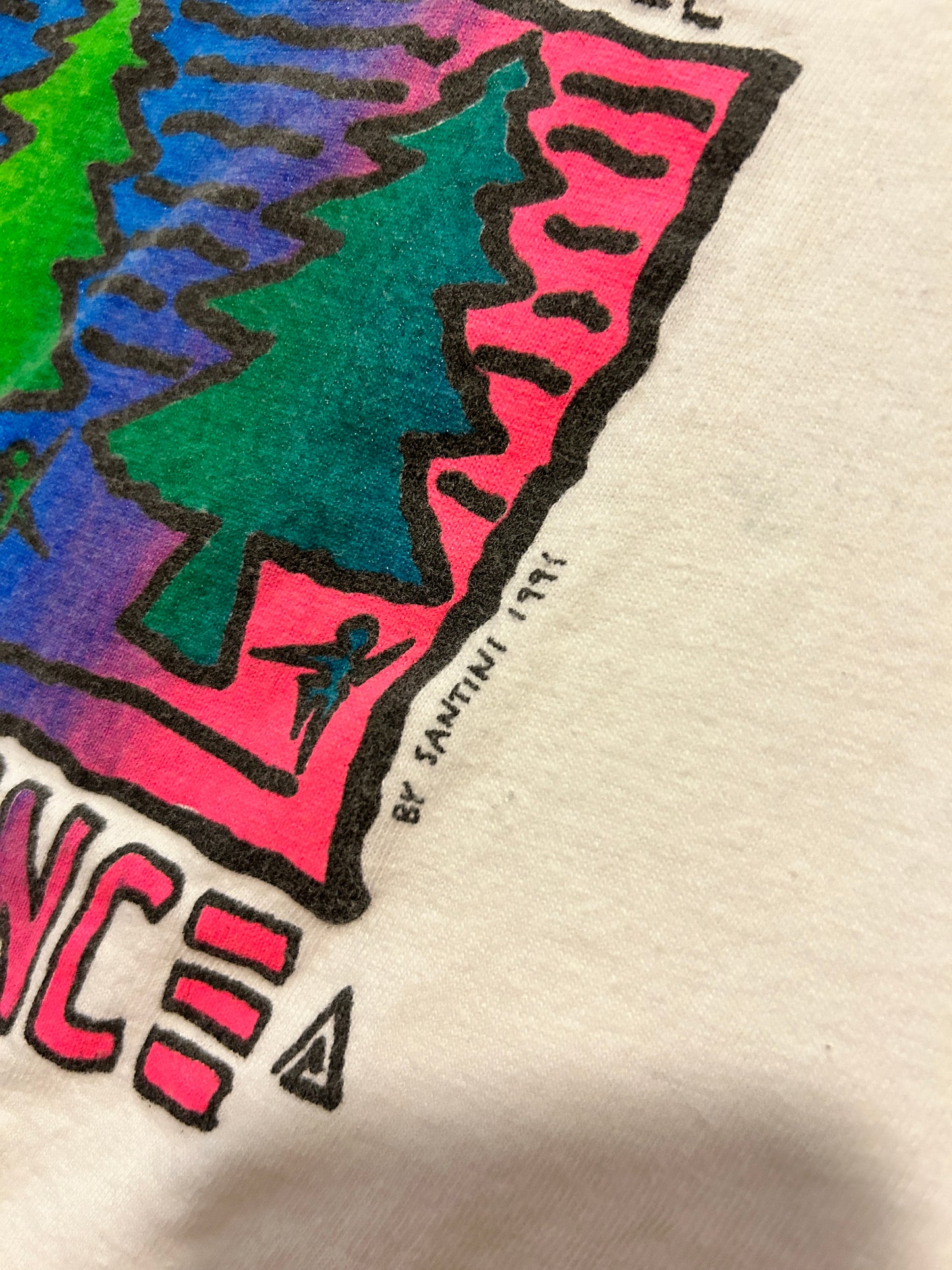 Vintage 1991 BC Forest Alliance Tee (L)