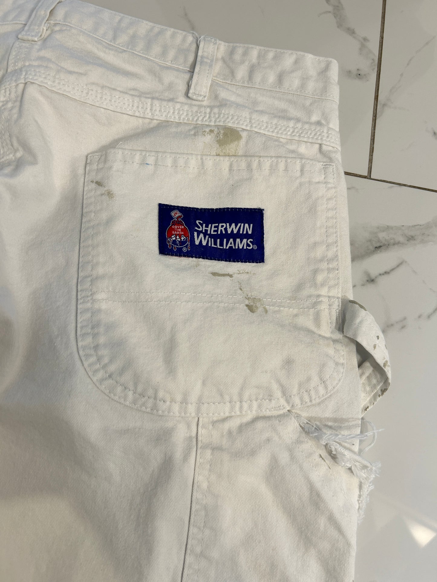 Dickies Painter Pants (36x30)