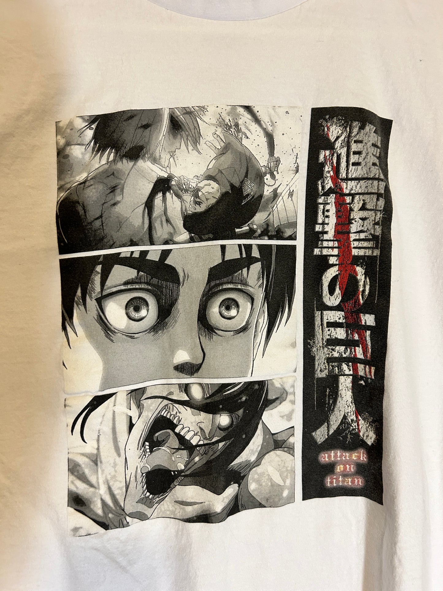 Attack on Titan Graphic Tee (L)