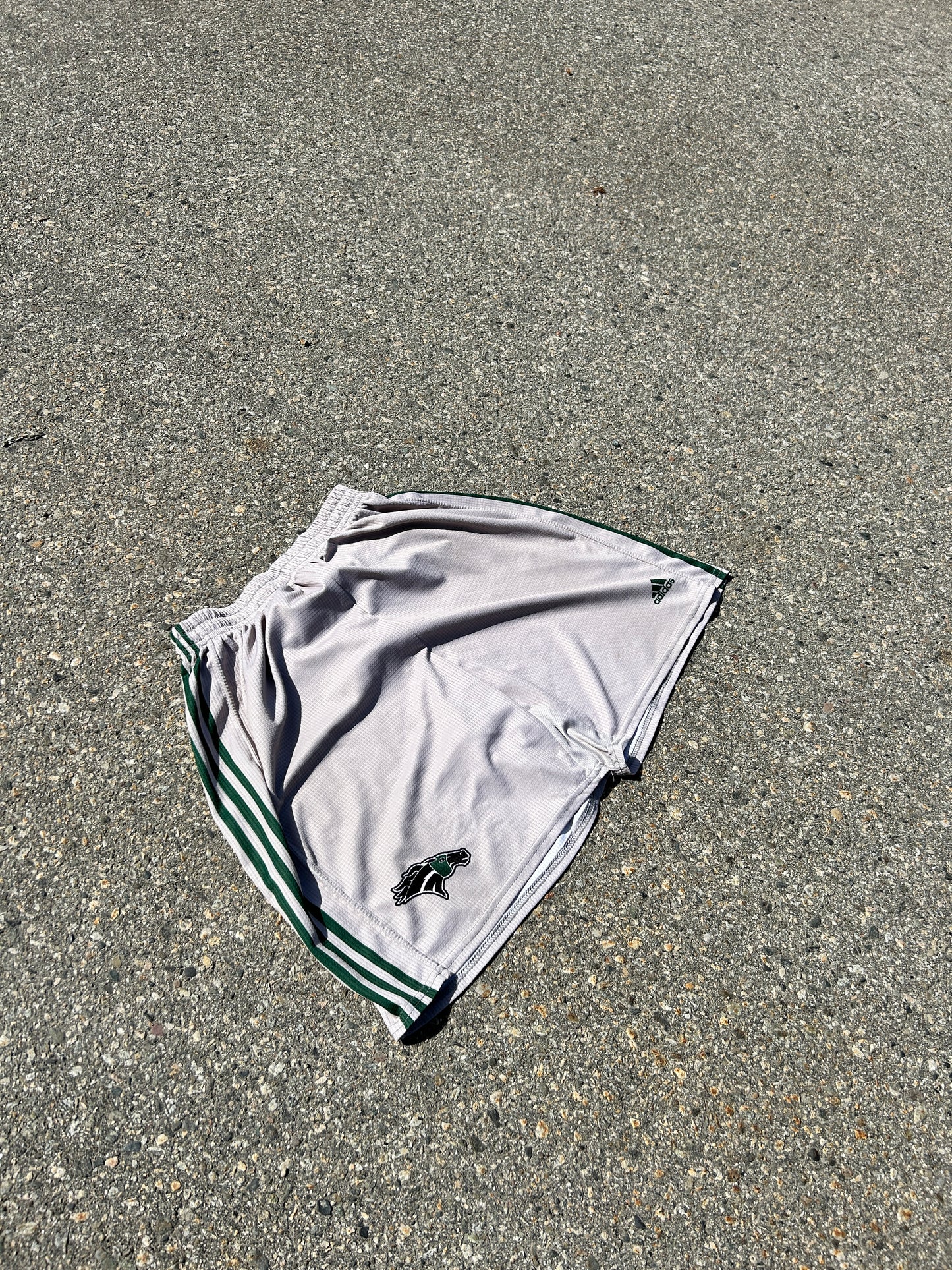 Vintage Adidas Baggy Shorts (L)