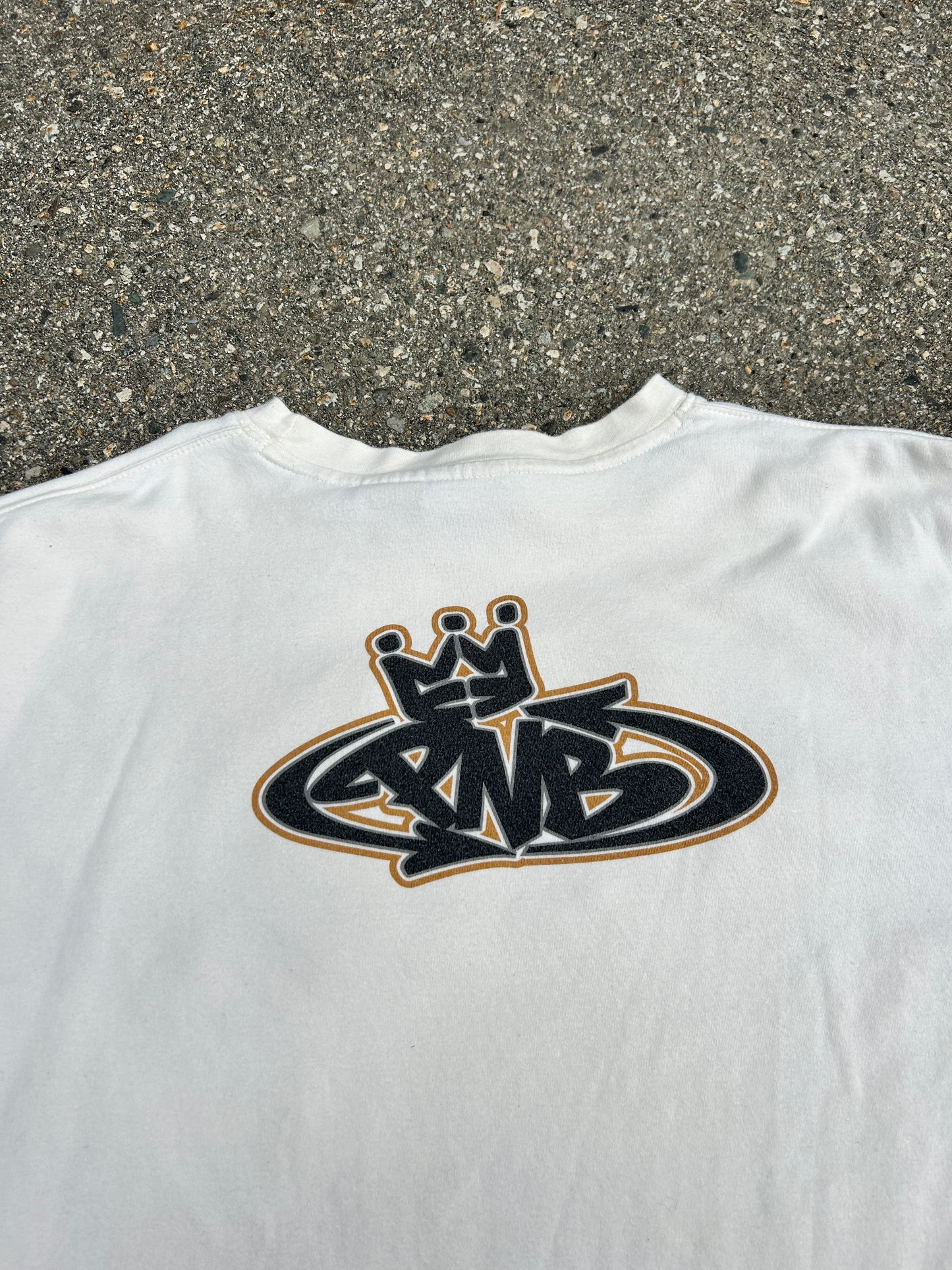 Y2K PNB Nation Boxy Heavyweight HipHop Tee (XL)