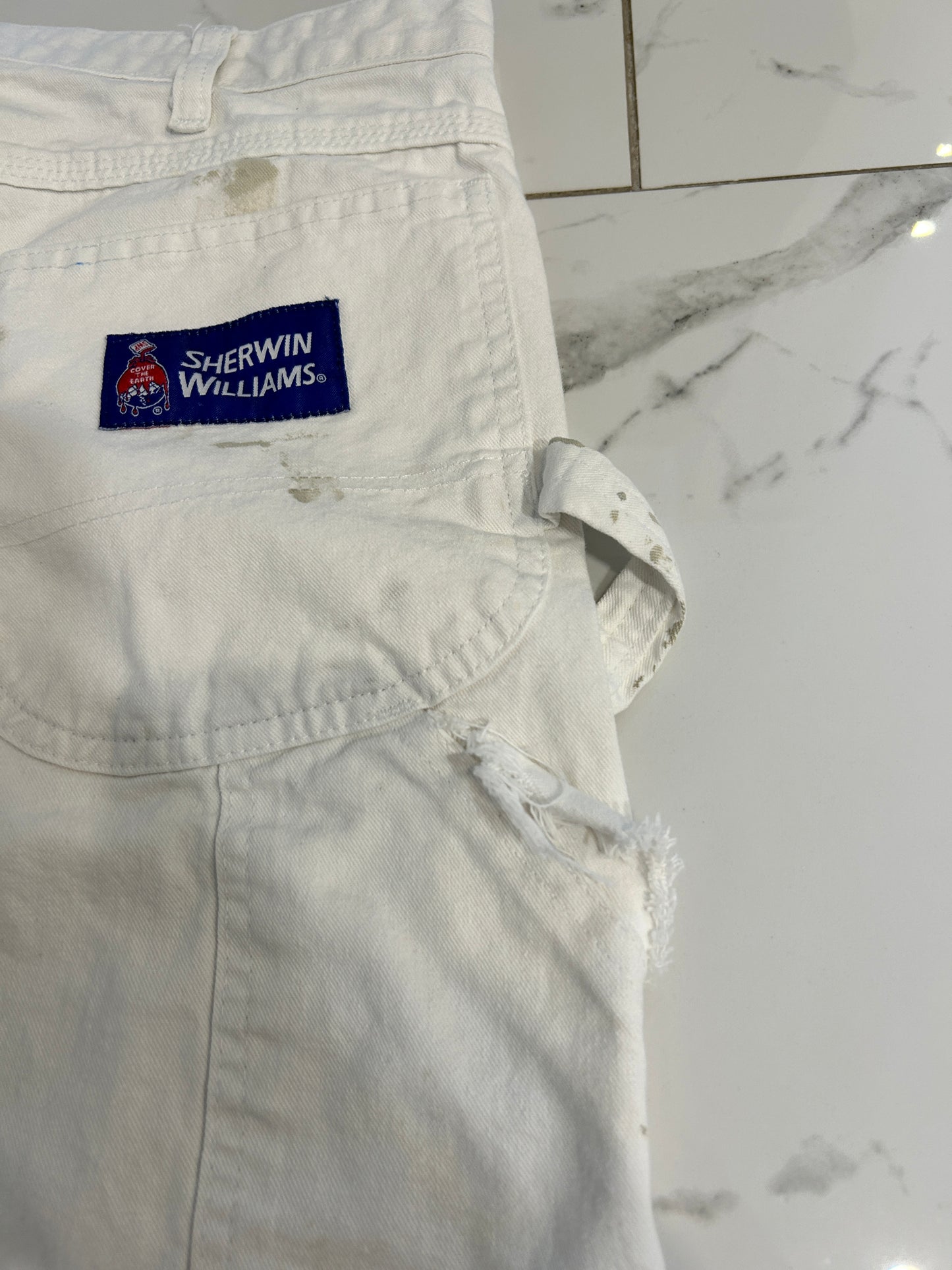 Dickies Painter Pants (36x30)