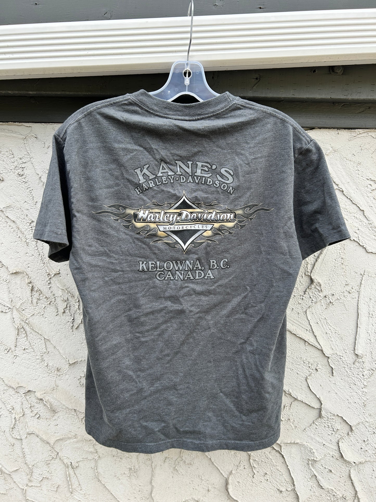 Y2K Harley Davidson Winged Skulls Tee (M)