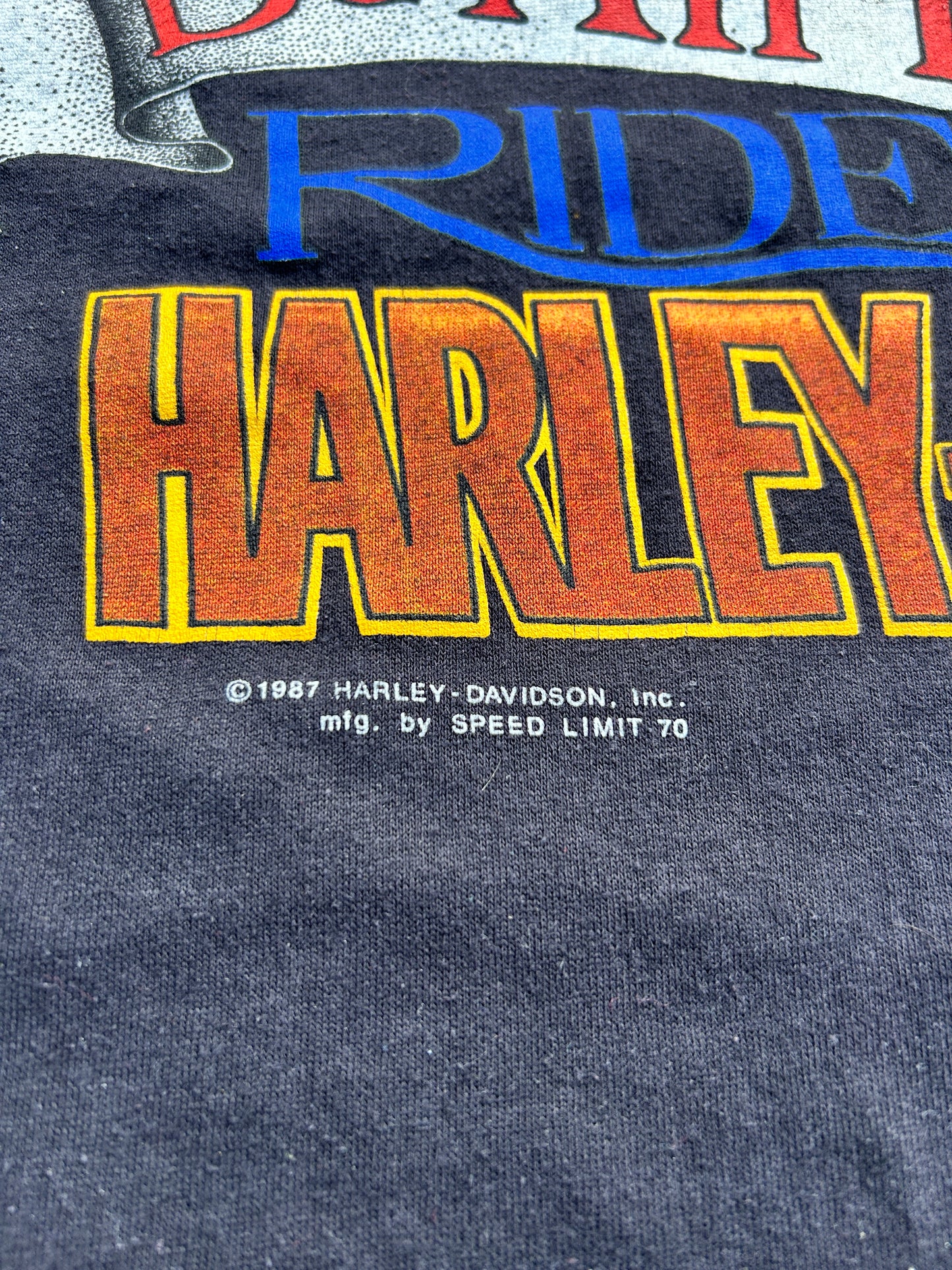 Vintage 1987 Single Stitch Harley Tee (M)
