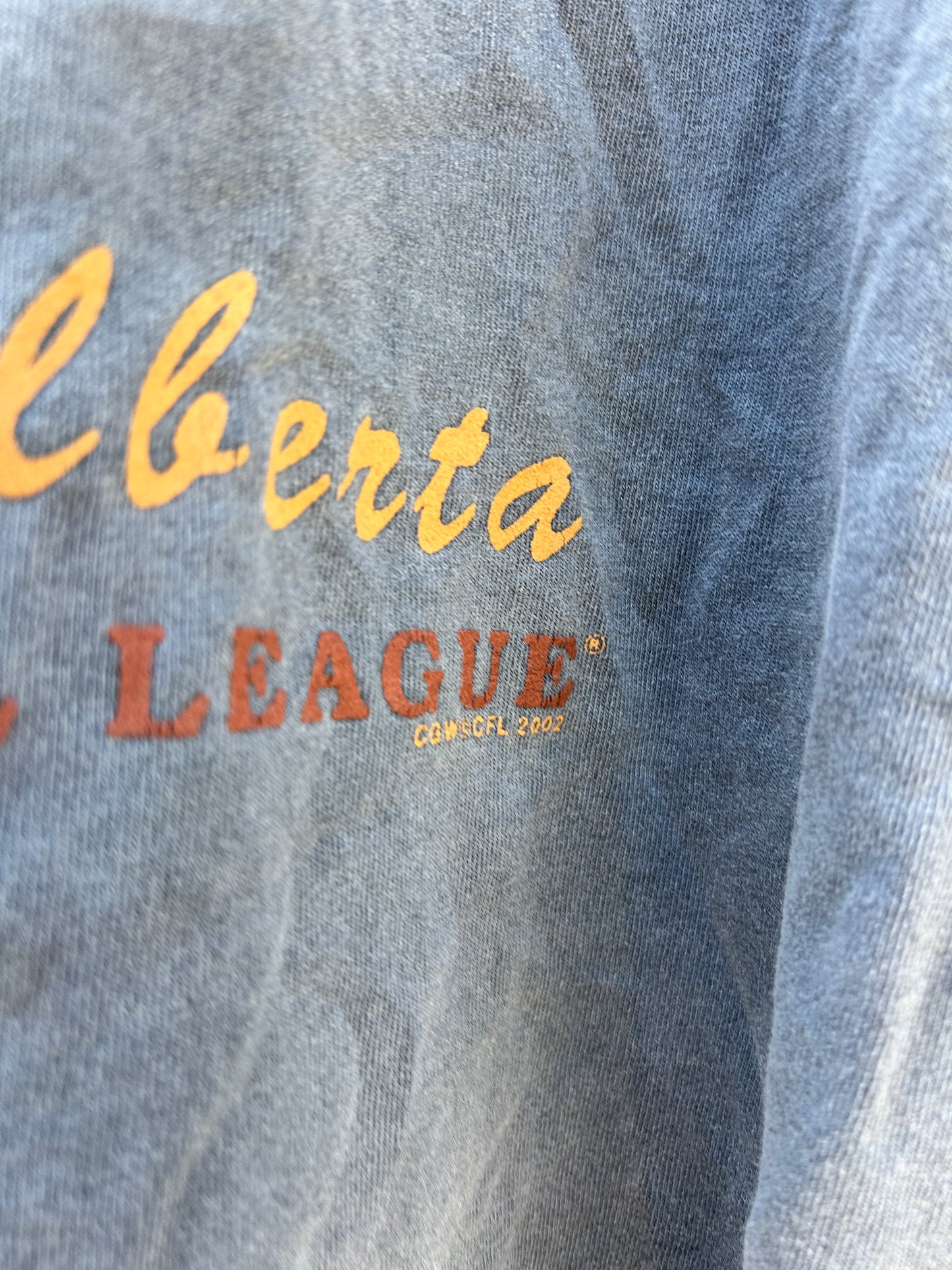 Vintage Faded 2002 Edmonton Grey Cup Tee (L)
