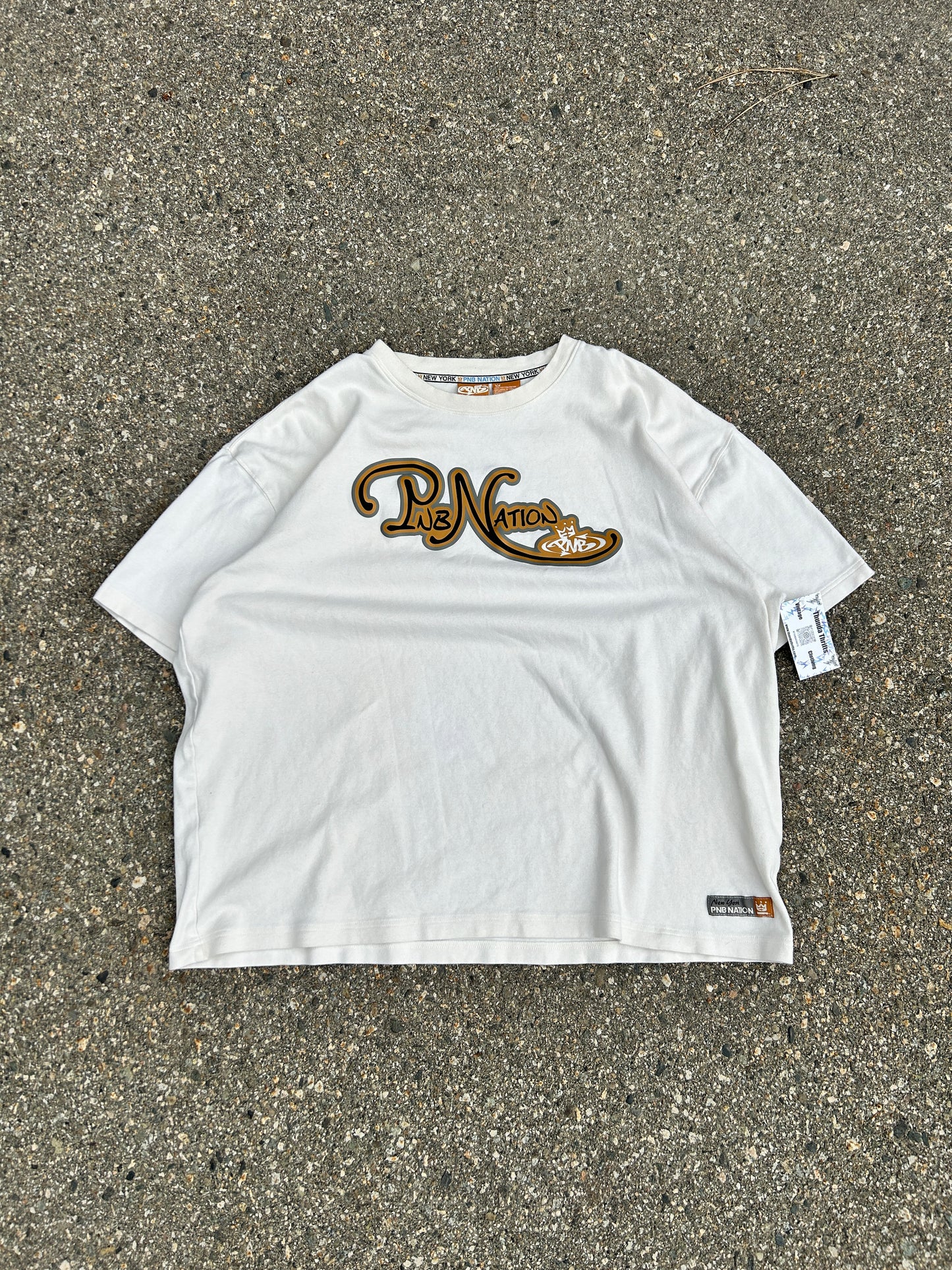 Y2K PNB Nation Boxy Heavyweight HipHop Tee (XL)