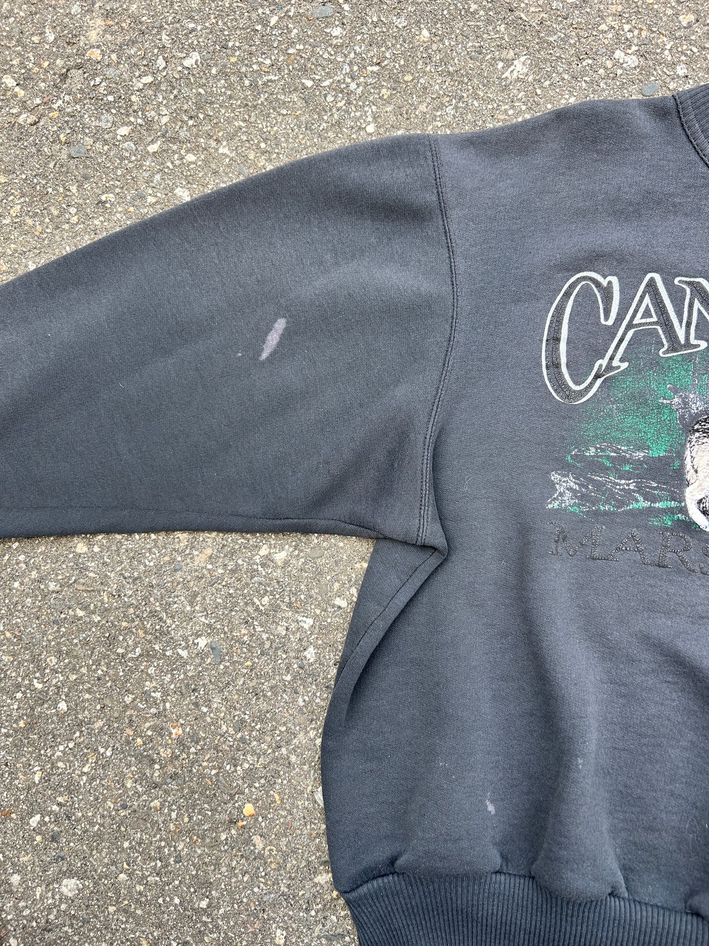 Vintage Faded Canadian Marshlands Wolf Crew (L)