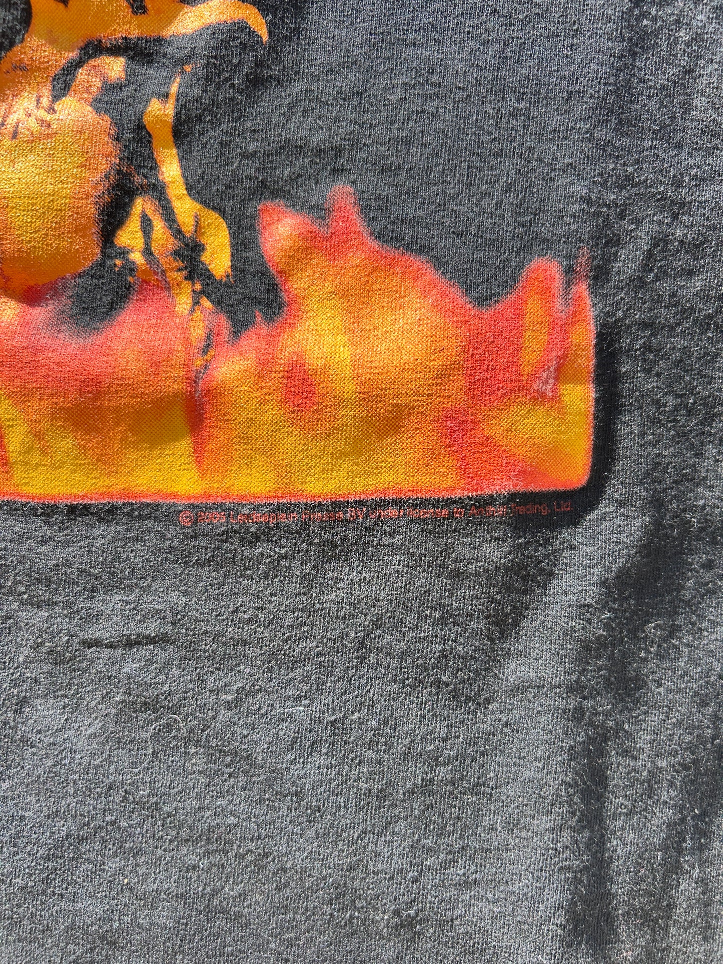Vintage 2005 AC/DC Flame Graphic Tee (M)