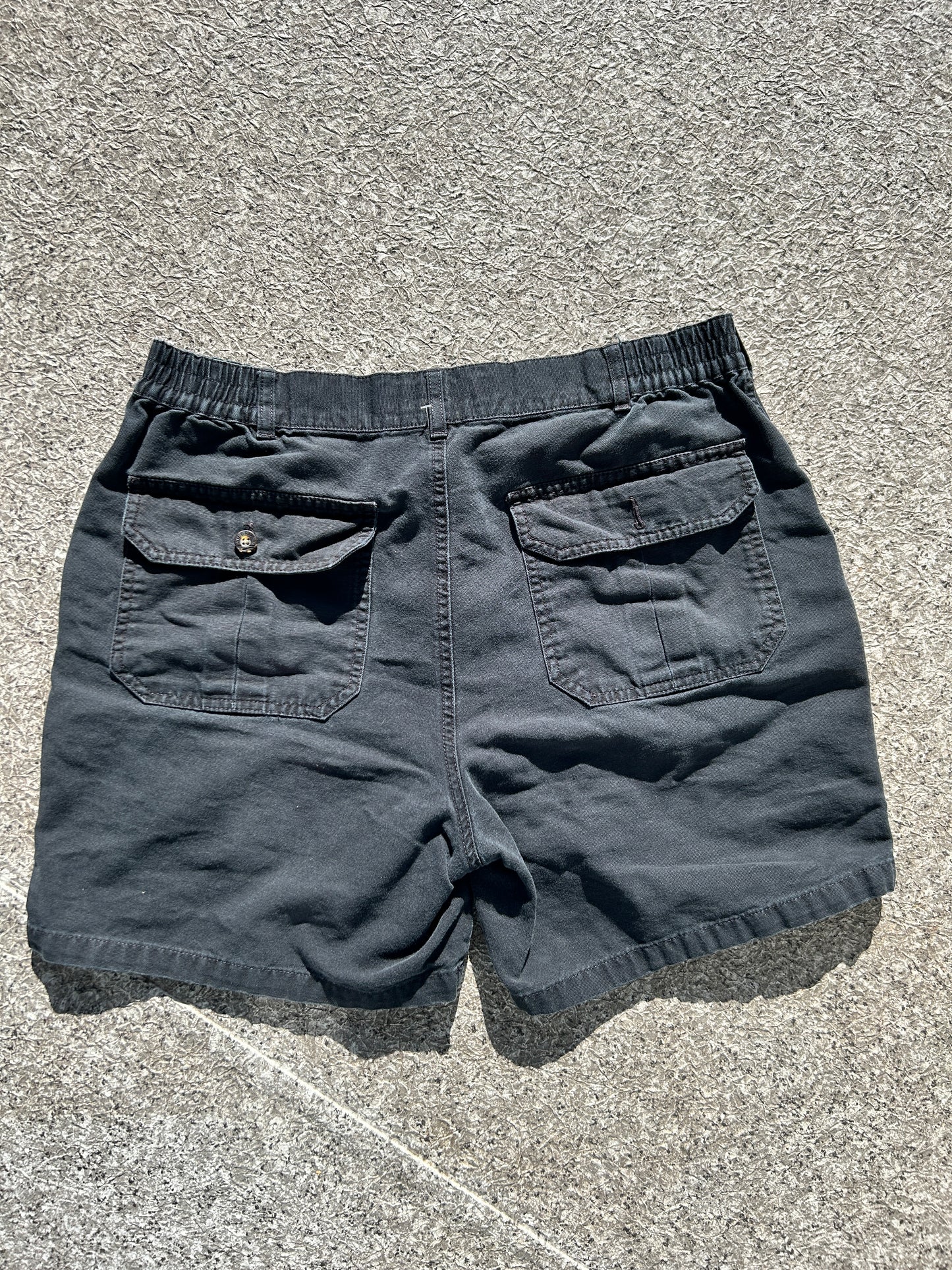 Windriver Cargo Shorts (34W)