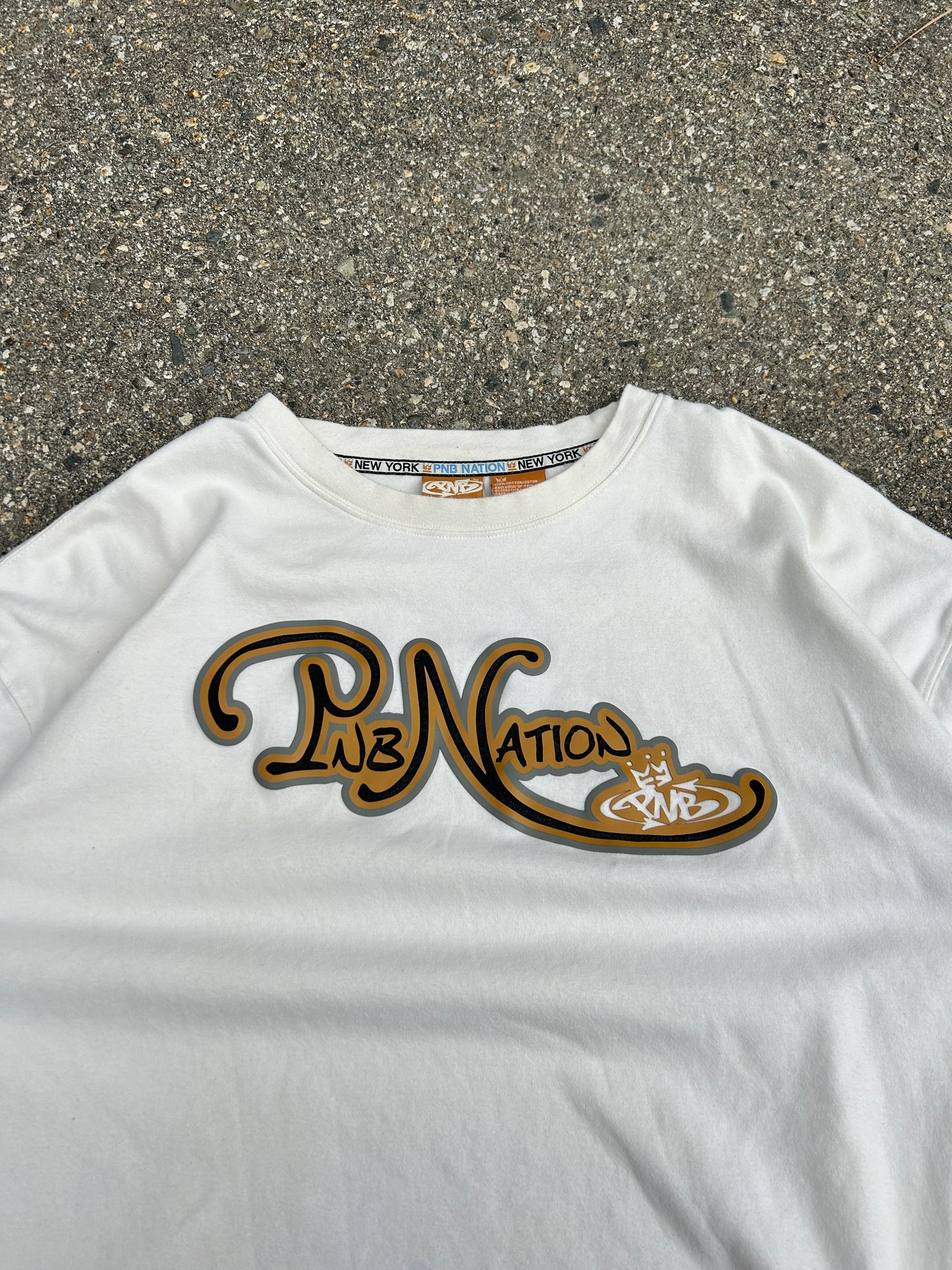 Y2K PNB Nation Boxy Heavyweight HipHop Tee (XL)