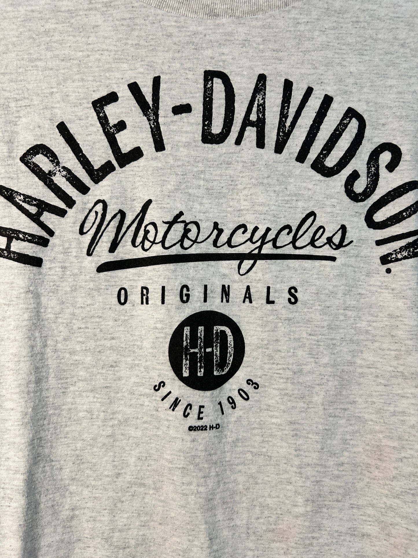 2022 Harley Tee (M)