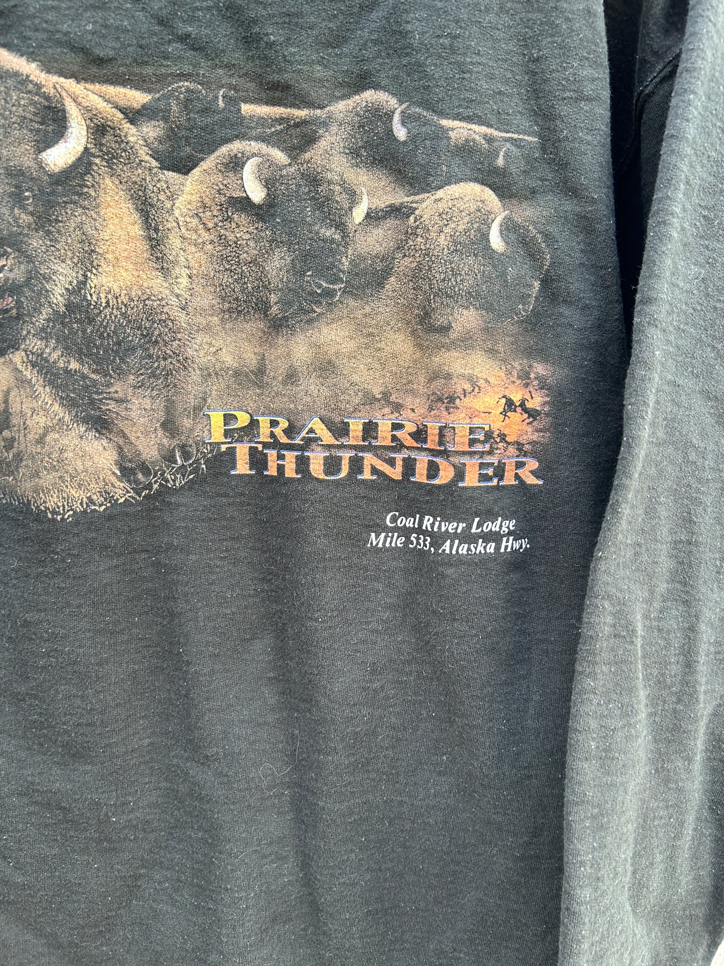 Vintage Prairie Thunder Buffalo Crewneck (L)