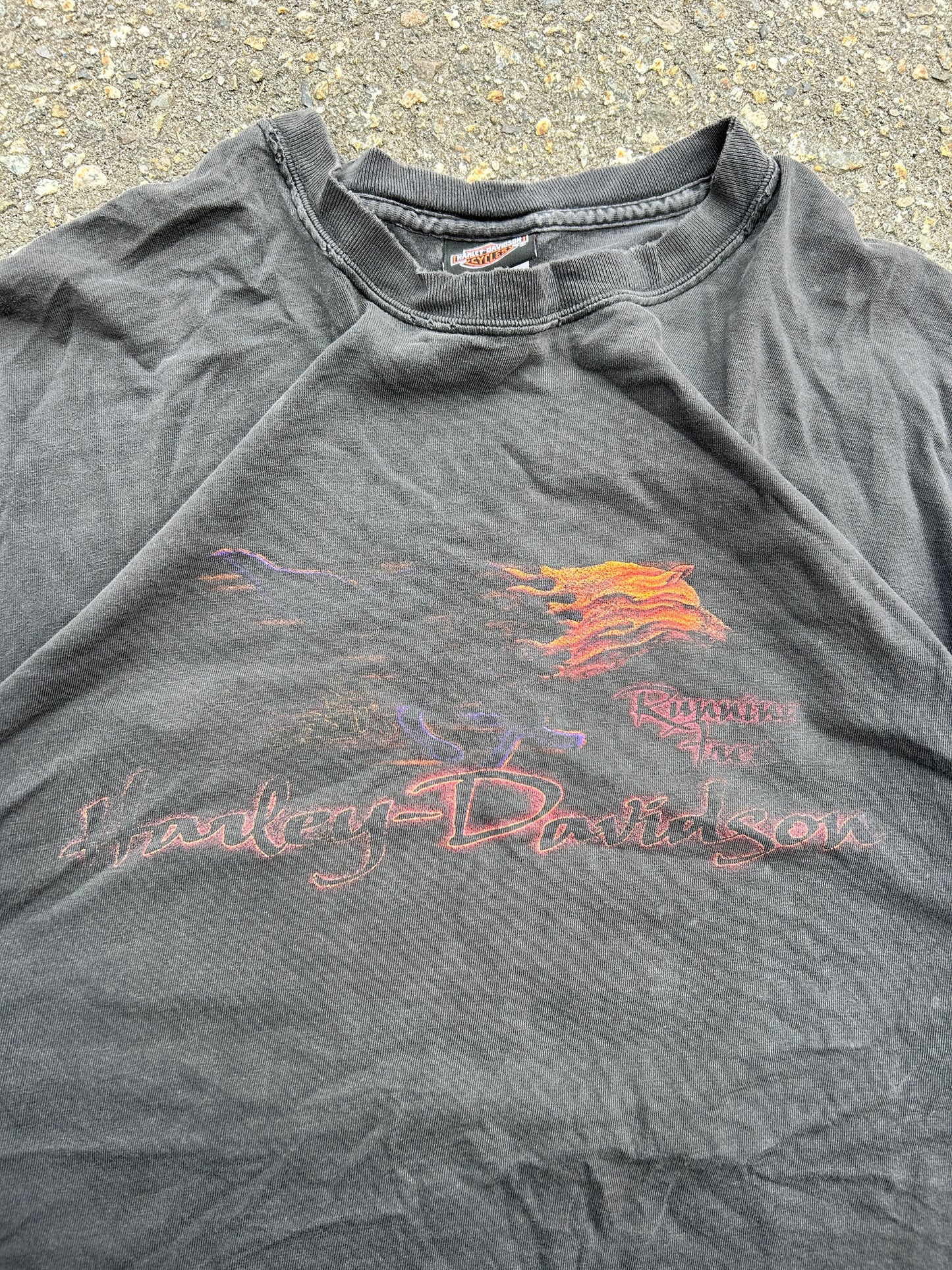 Vintage Faded Harley Wolf Tee (2XL)