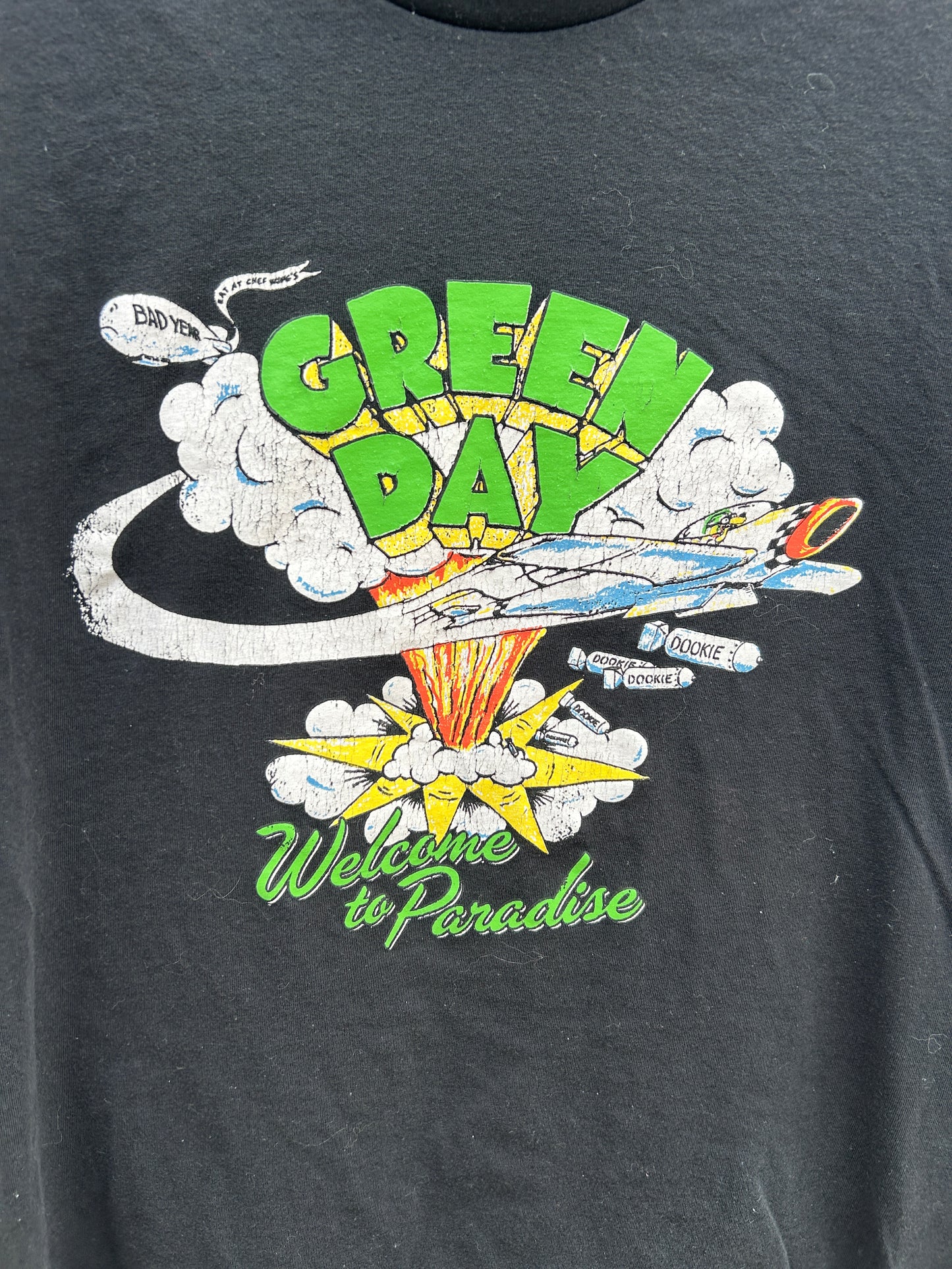 Green Day Dookie Graphic Tee (M)