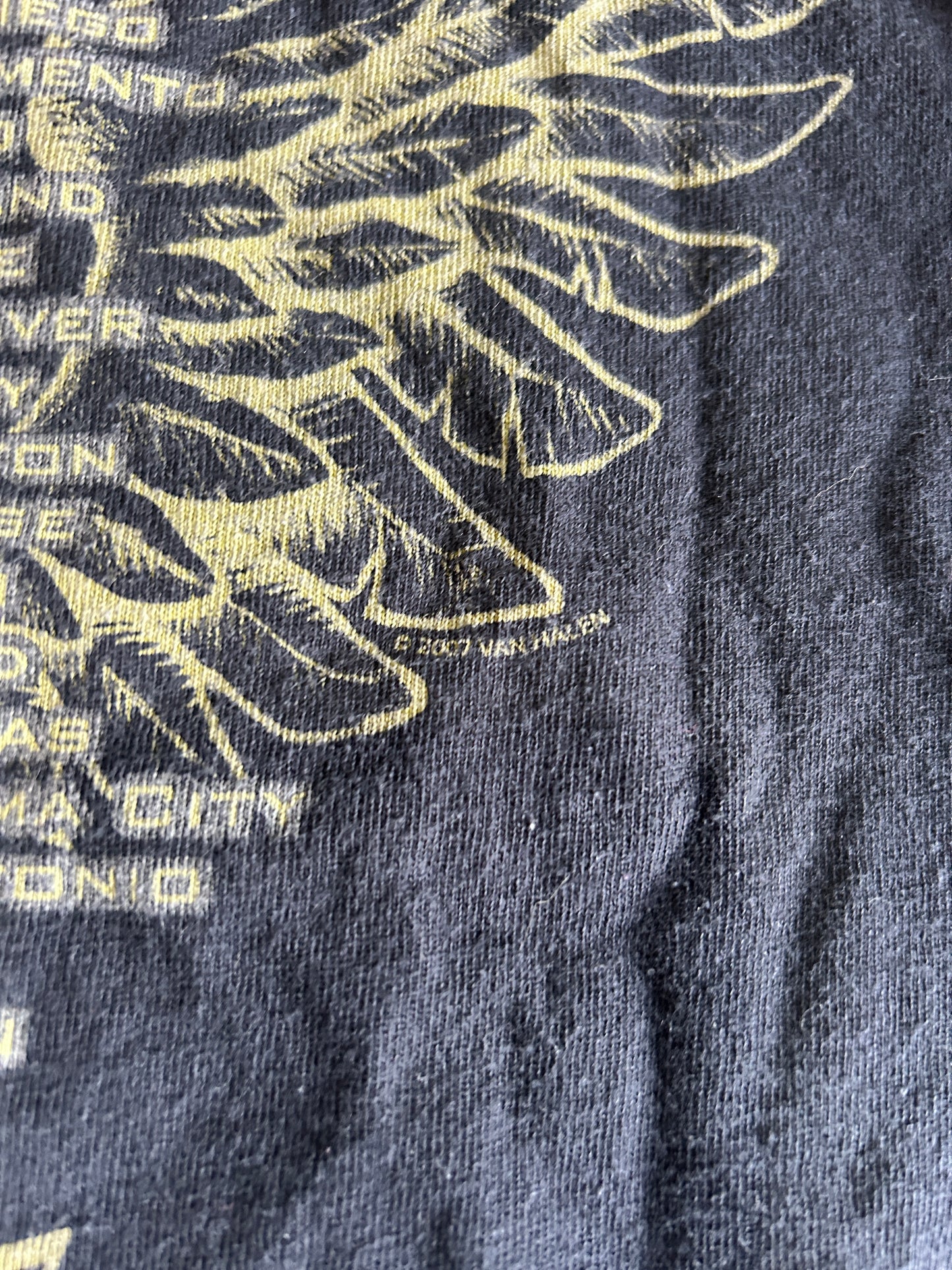 Vintage 2007 Van Halen Tour Tee (M)