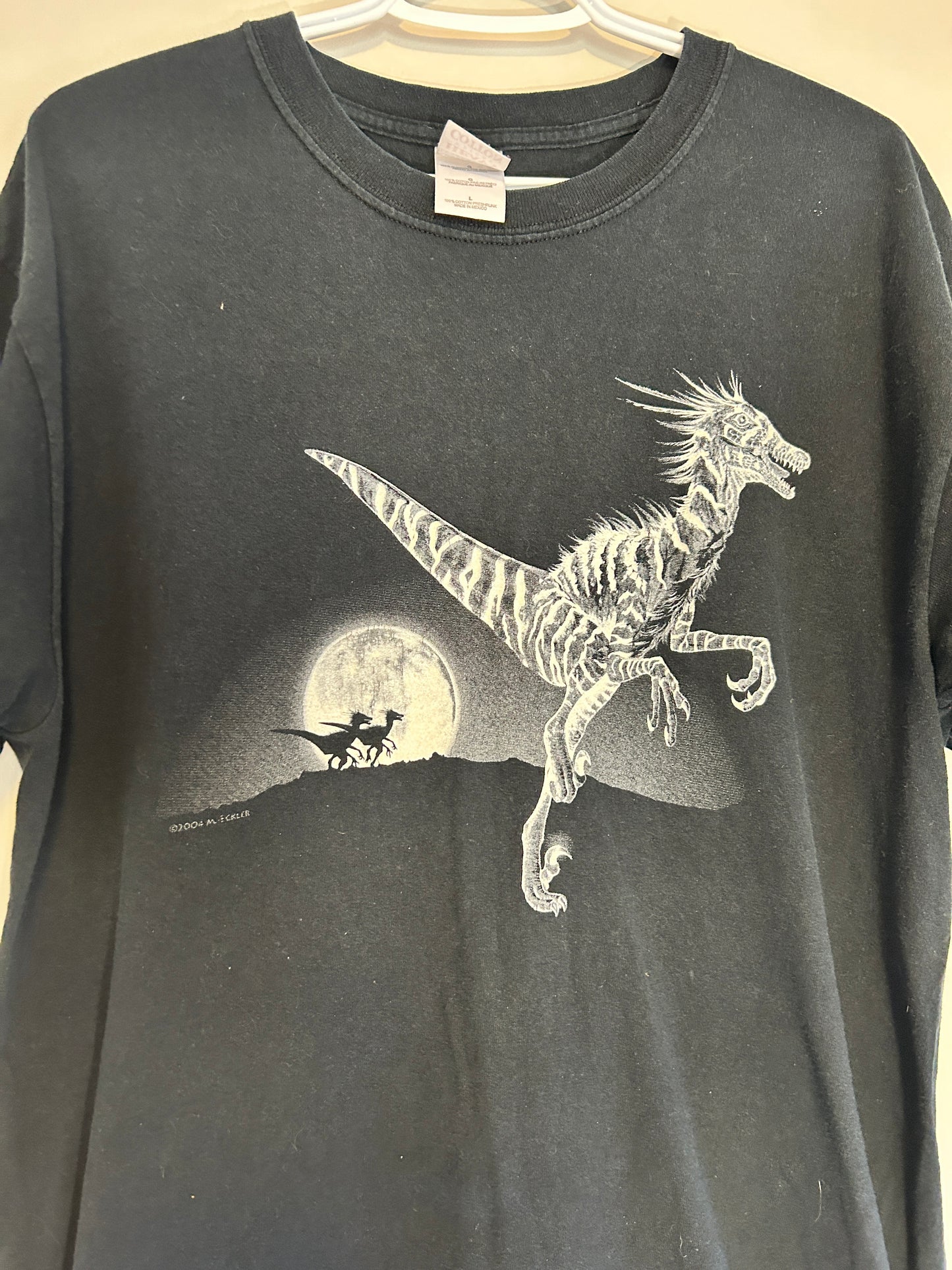 Vintage 2004 Dinosaur Tee (L)