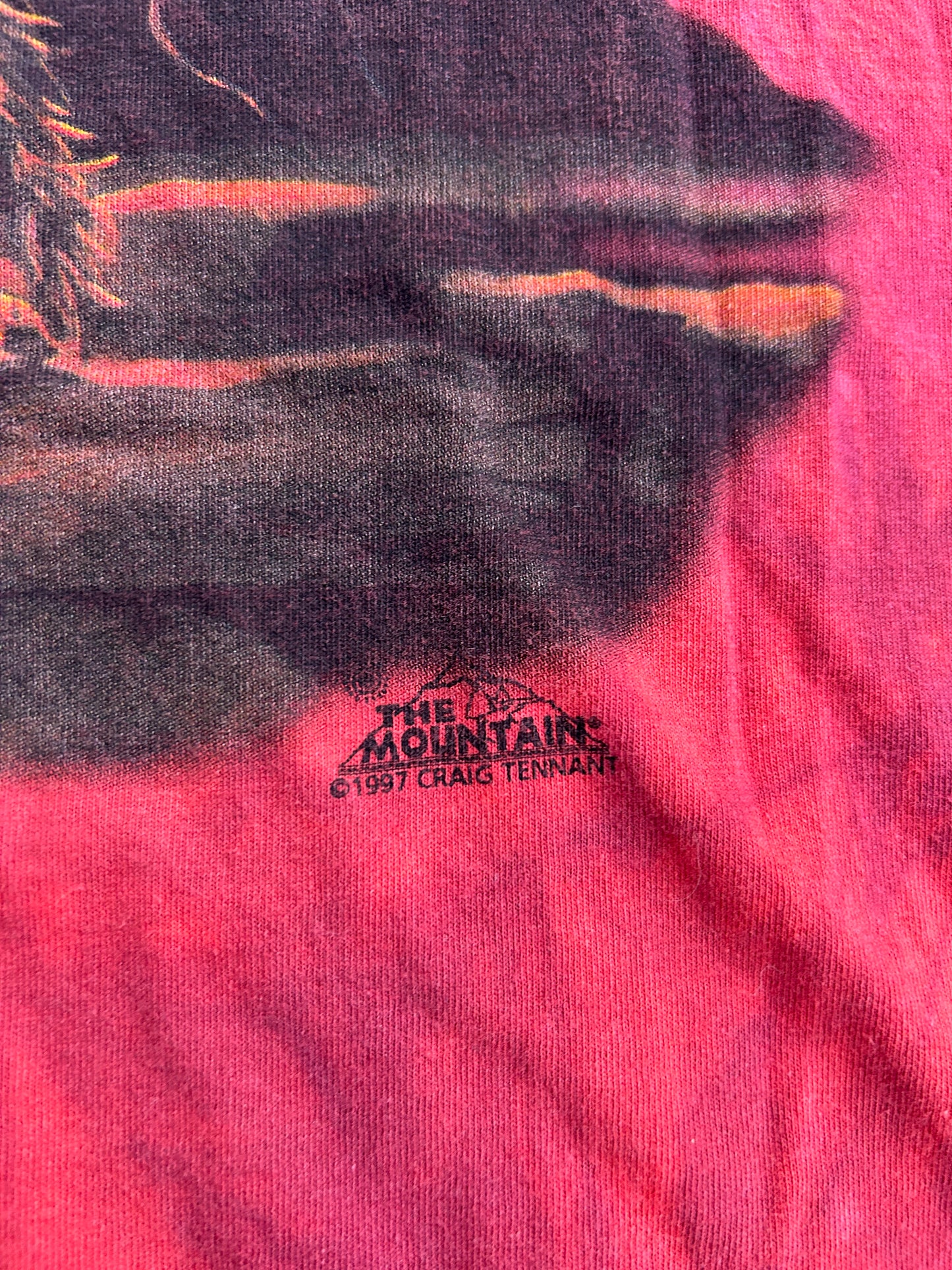 Vintage 1997 The Mountain Indigenous Tee (L)