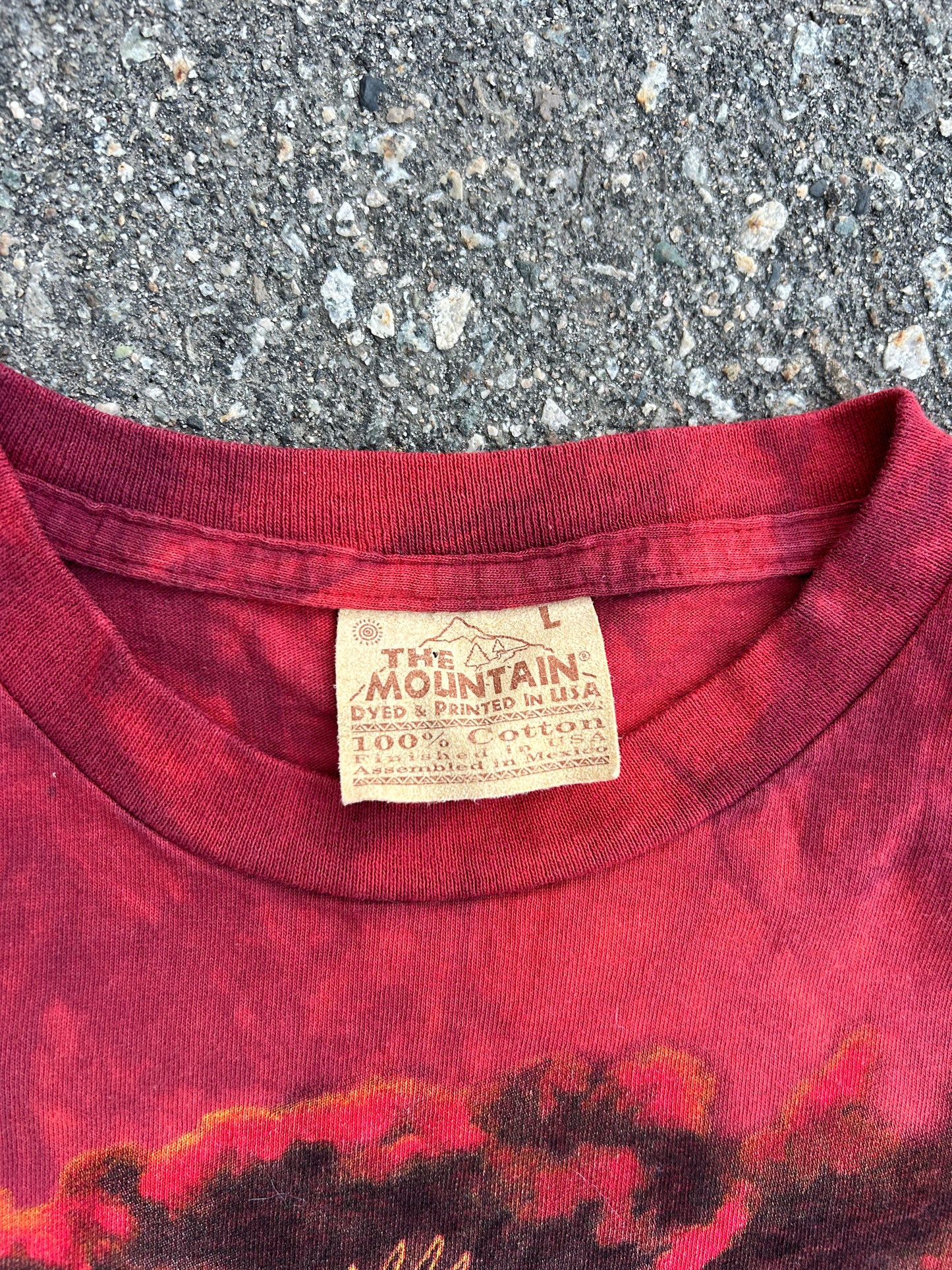 Vintage 1997 The Mountain Indigenous Tee (L)