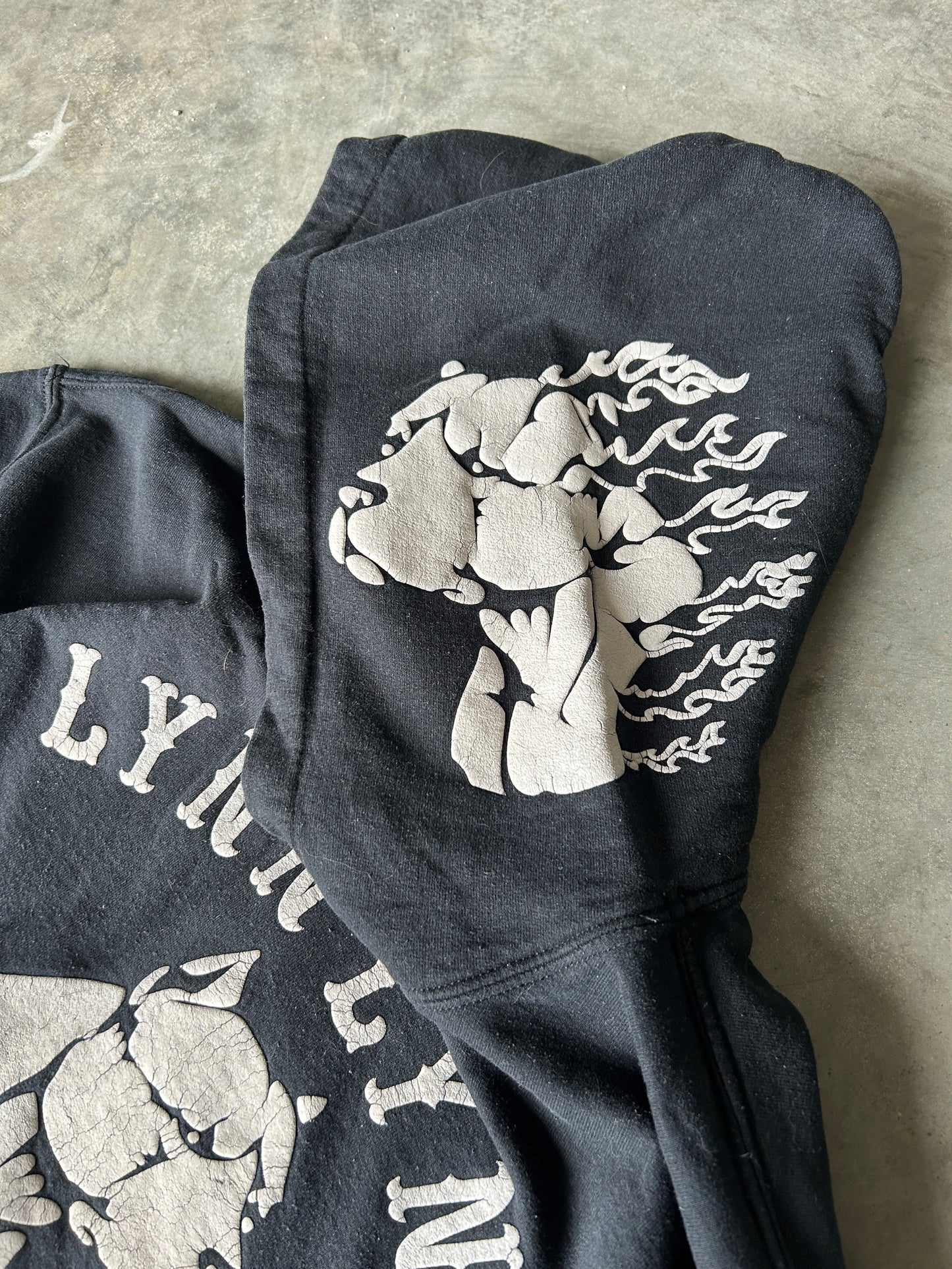 Y2K Pitbull Puffprint Hoodie (L)