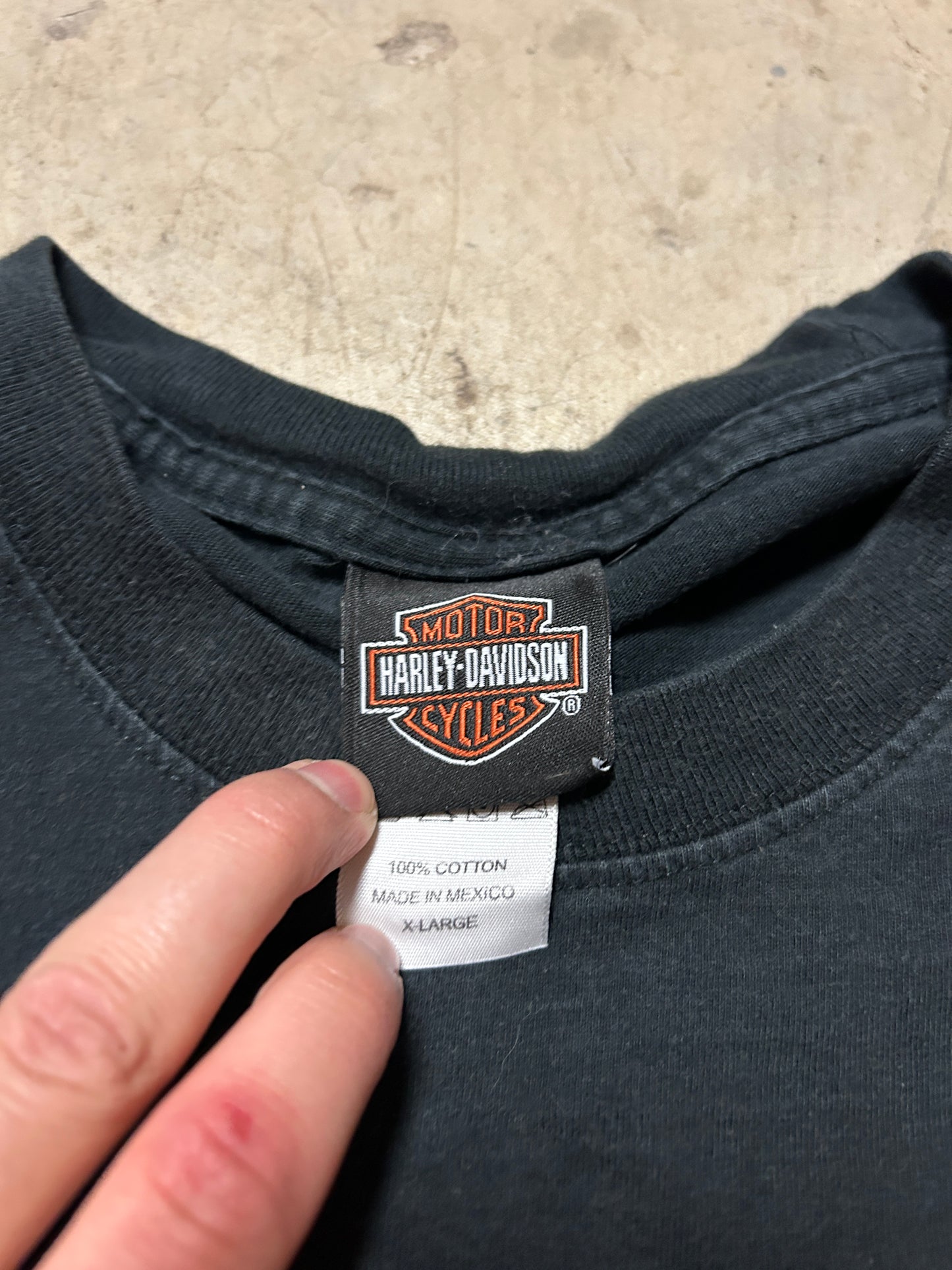 2007 Harley Davidson Steel Flame Logo Tee (XL)