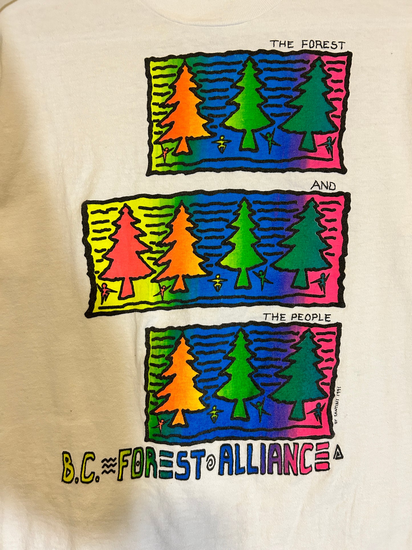 Vintage 1991 BC Forest Alliance Tee (L)