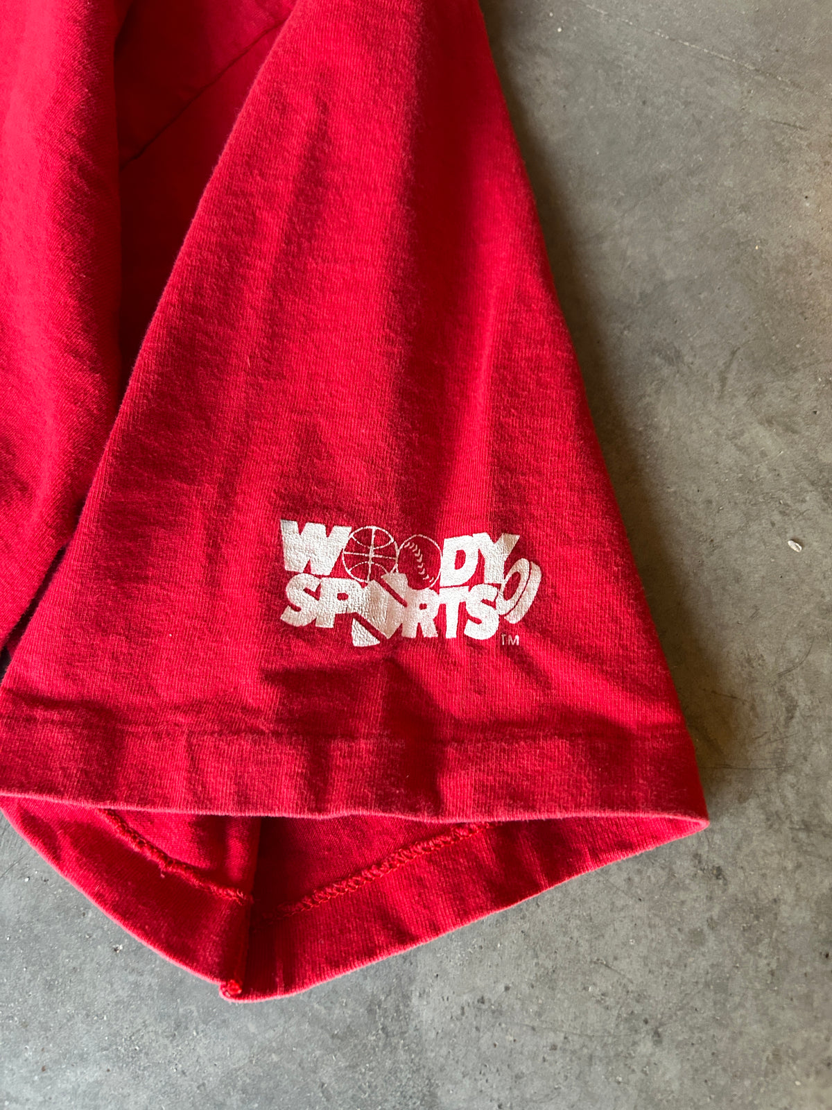 Vintage 1993 Detroit Redwings Woody Sports Tee (XL)