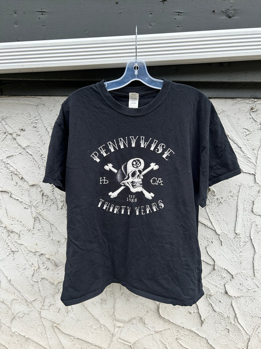 Pennywise Graphic Tee (L)