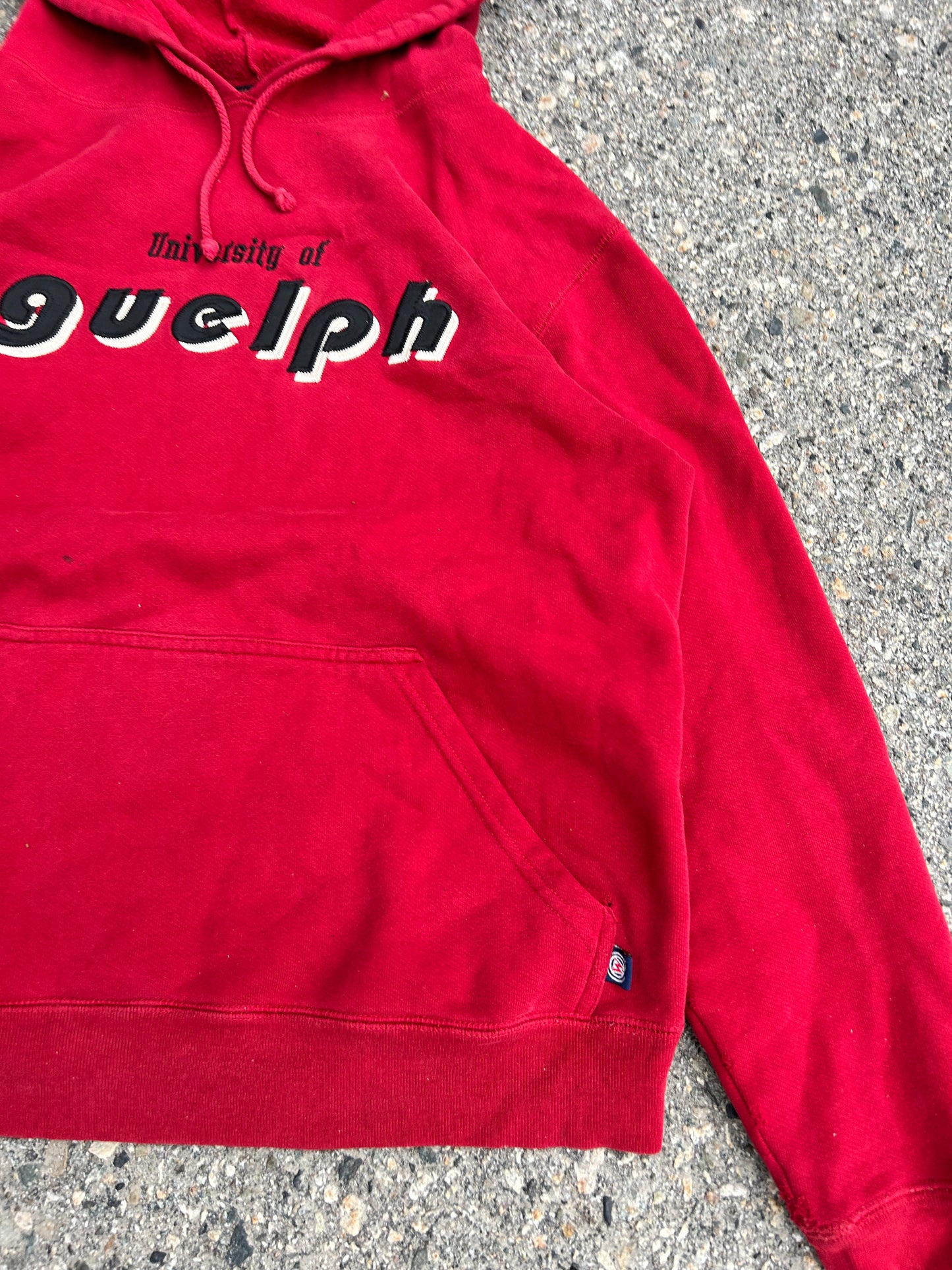 Vintage University of Guelph Hoodie (M)