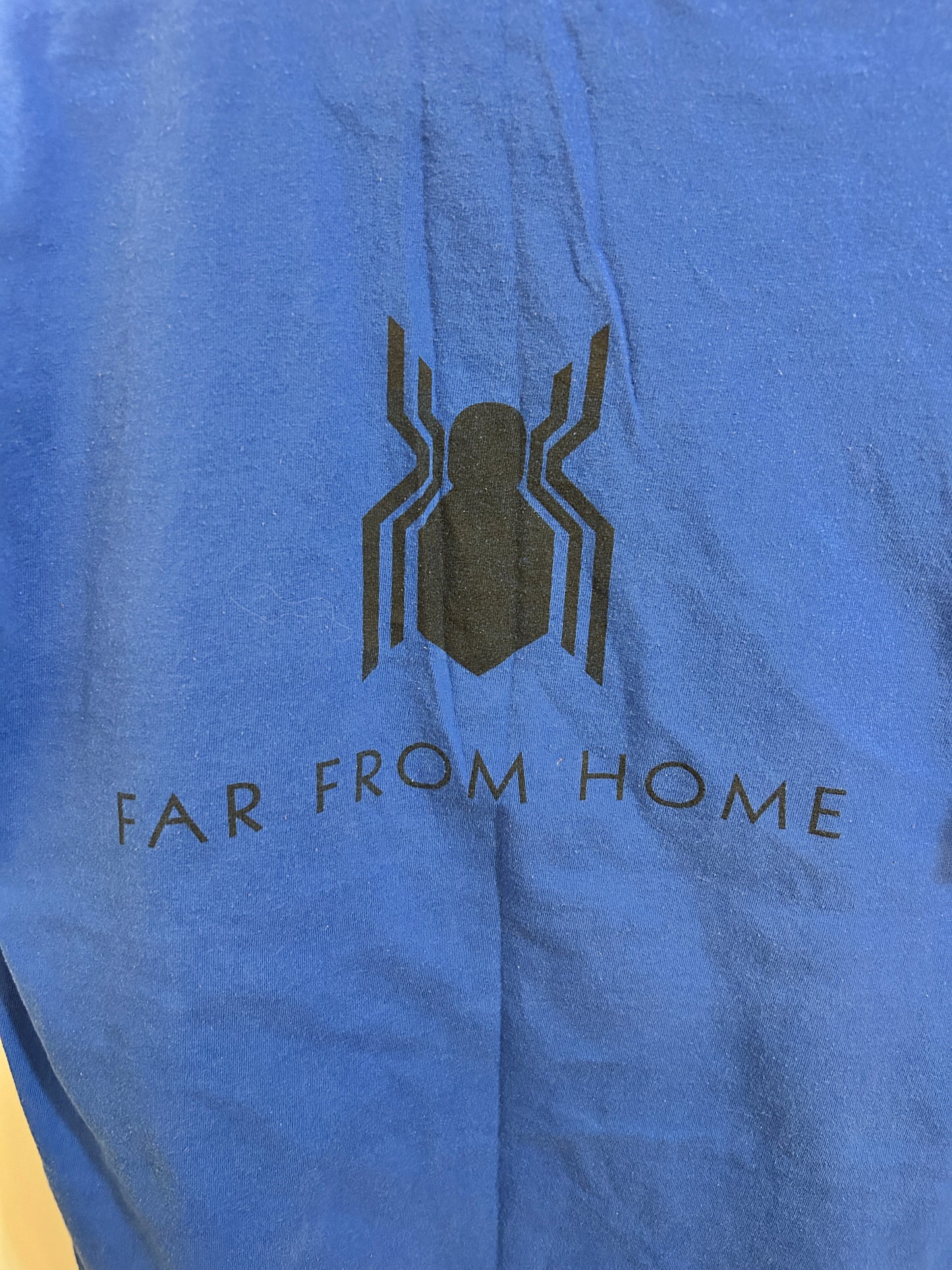 Spider-Man Far from Home Graphic Tee (L)