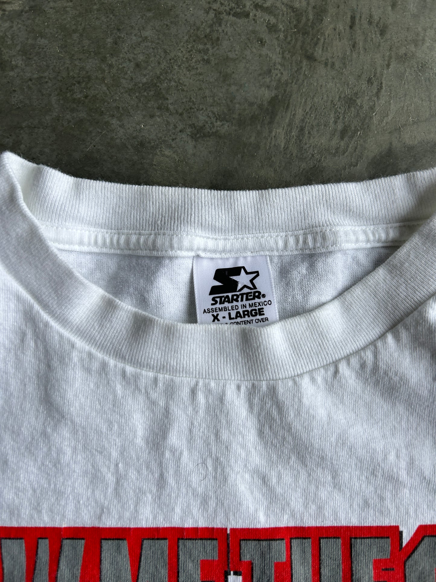 Vintage 1997 Stanley Cup Champs Detroit Redwings Tee (XL)