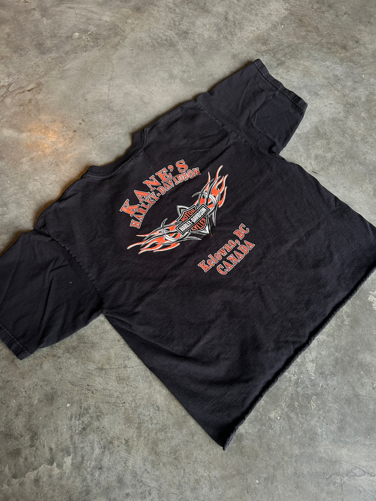 Y2K Cropped Harley Wings Tee (XL)