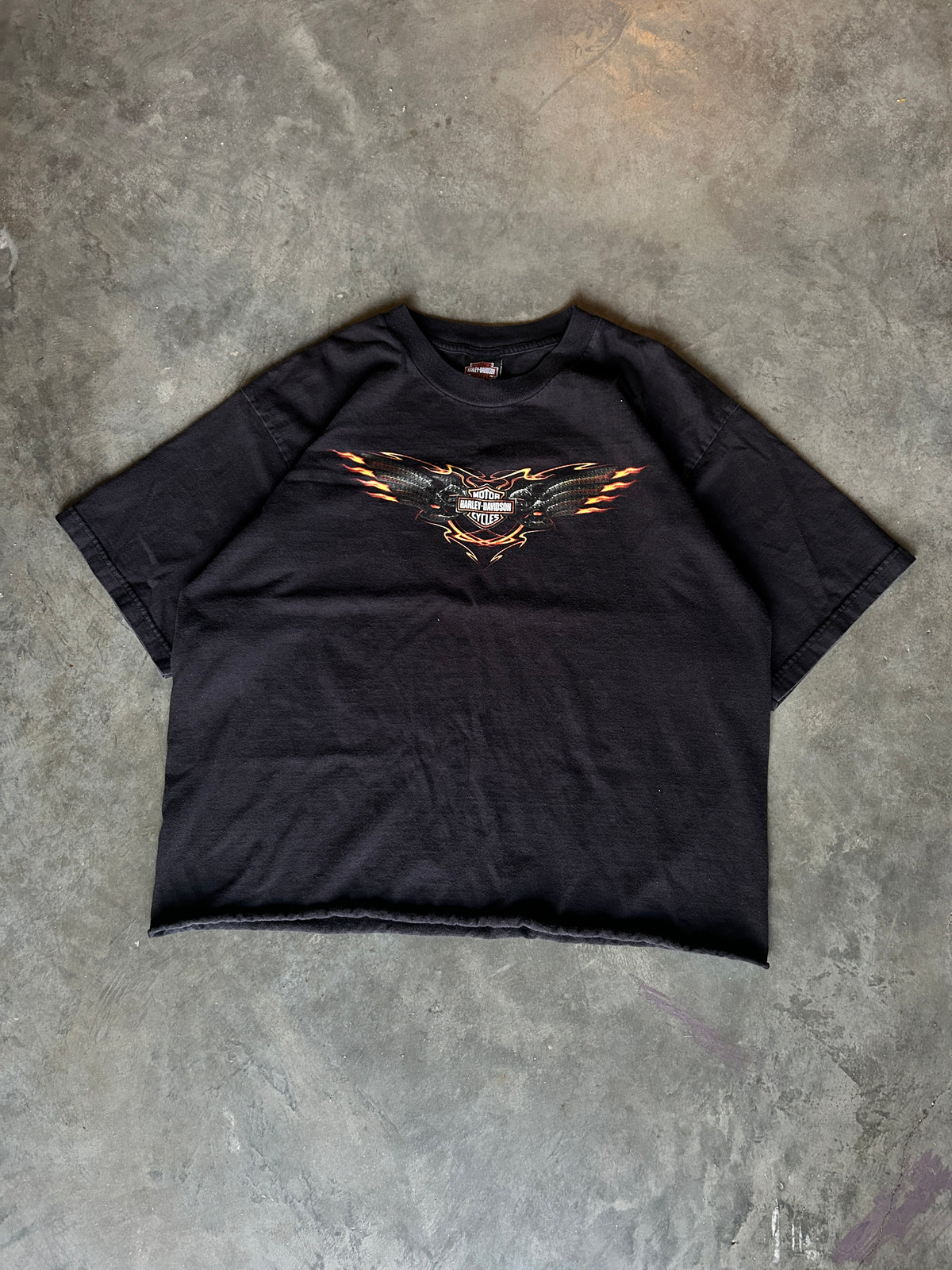 Y2K Cropped Harley Wings Tee (XL)