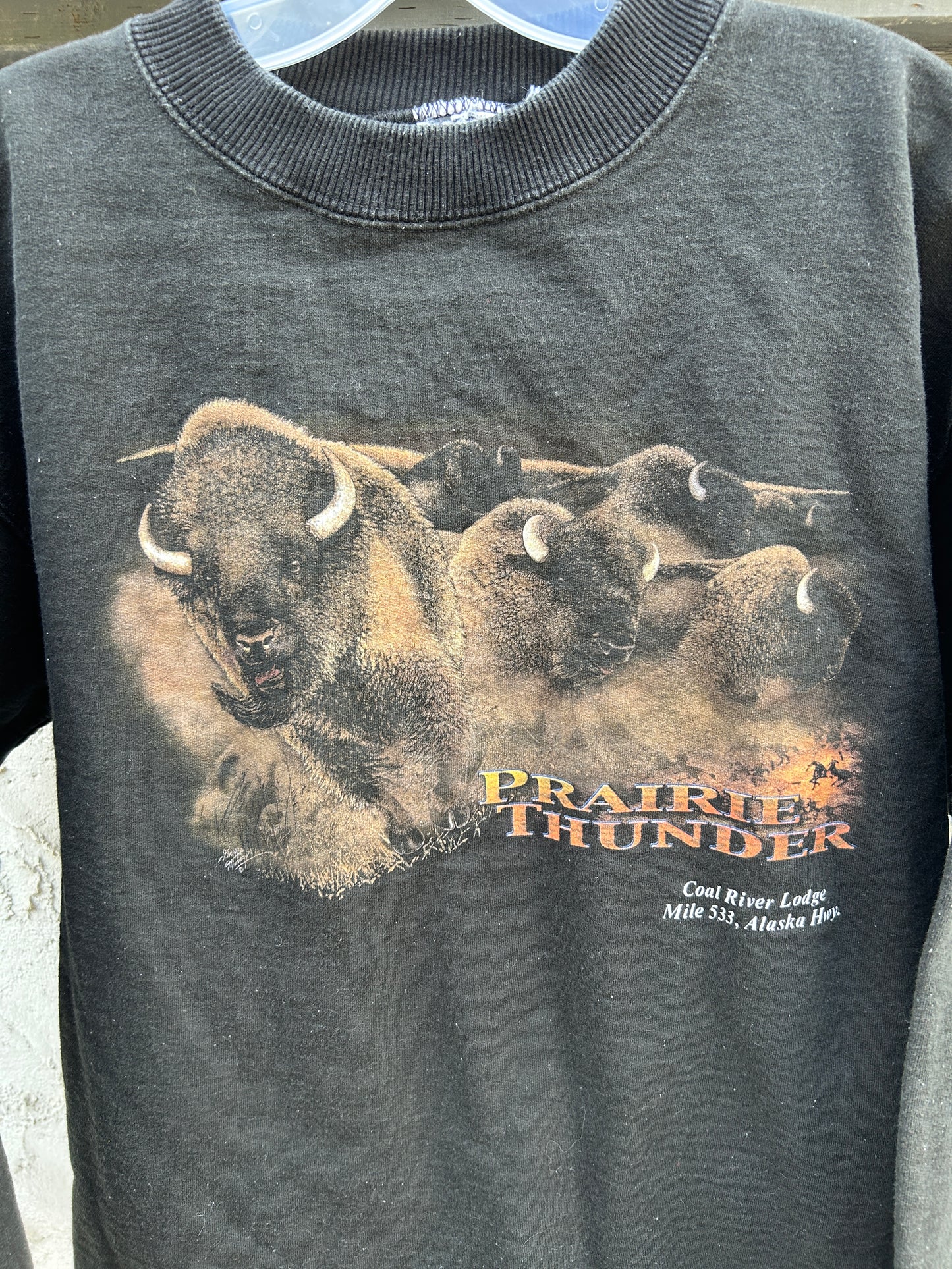 Vintage Prairie Thunder Buffalo Crewneck (L)