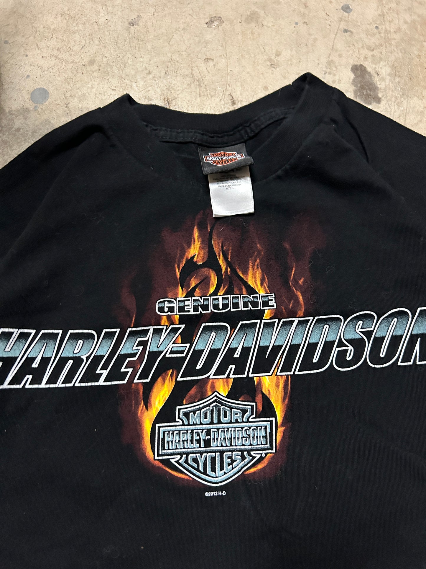 Harley Davidson Flame Spellout Tee (L)